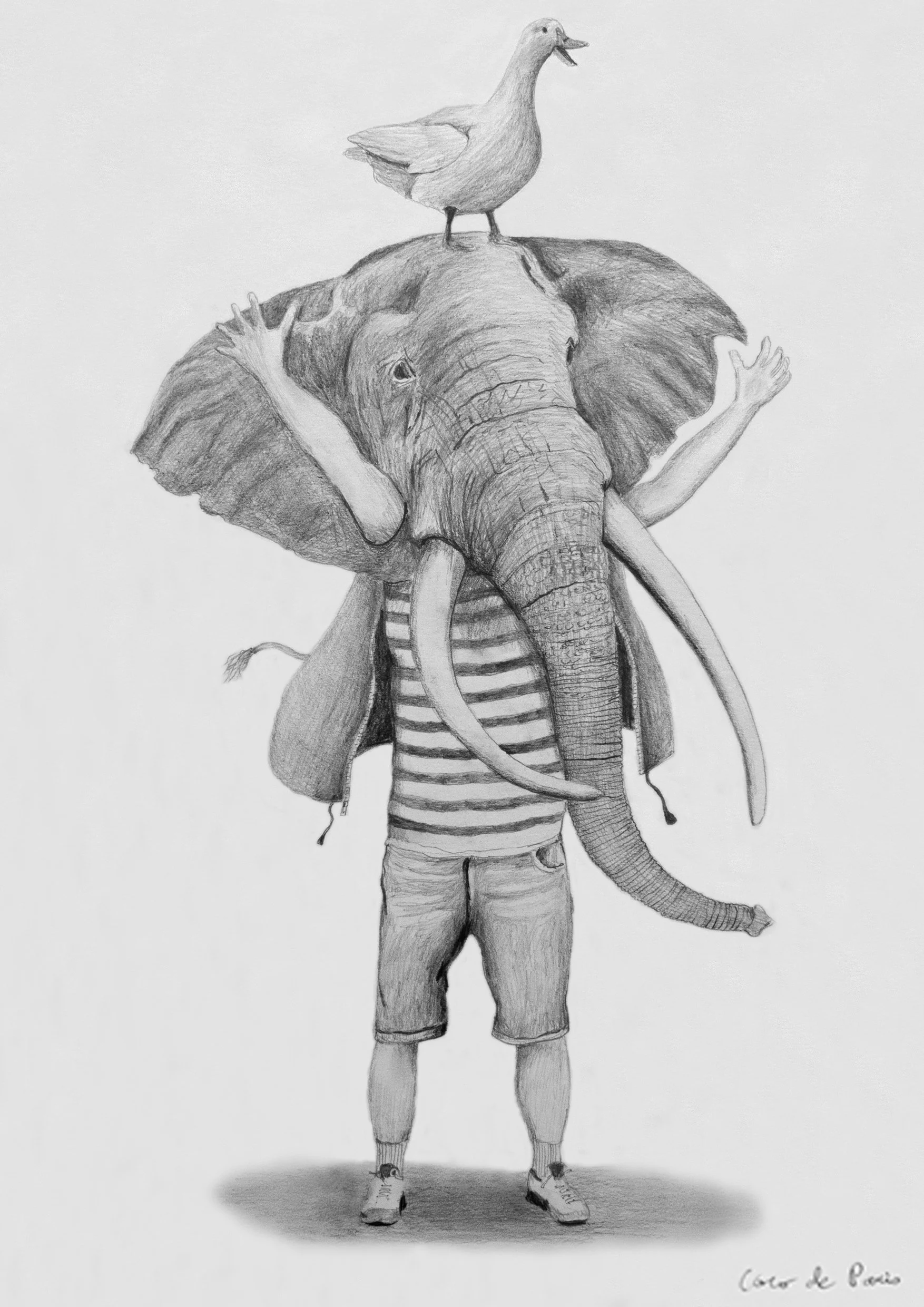 Elephant with white duck B.jpg