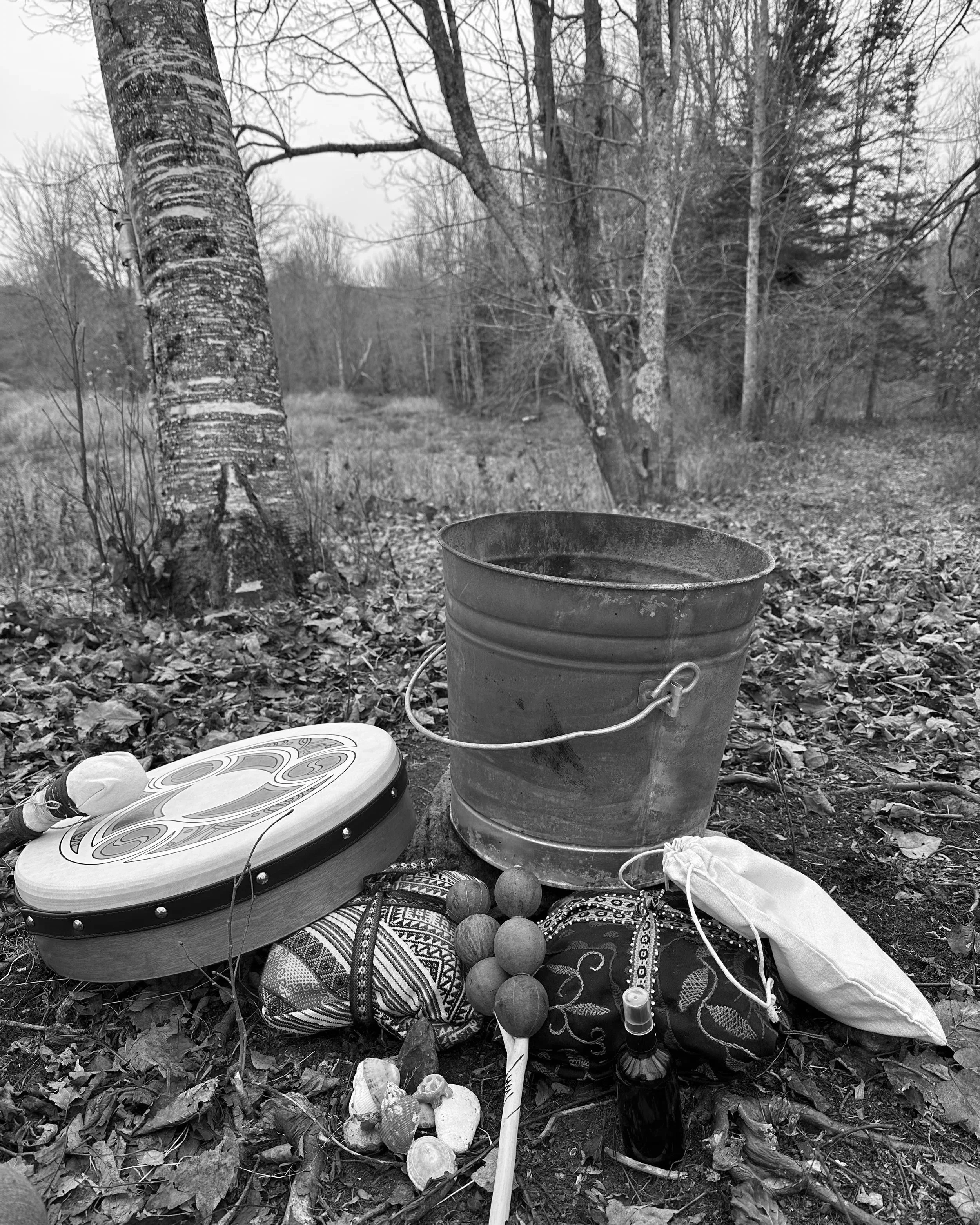 Outdoor scene with musical instruments, including a drum, a tambourine, and a small xylophone, on the ground among fallen leaves. There are trees in the background.