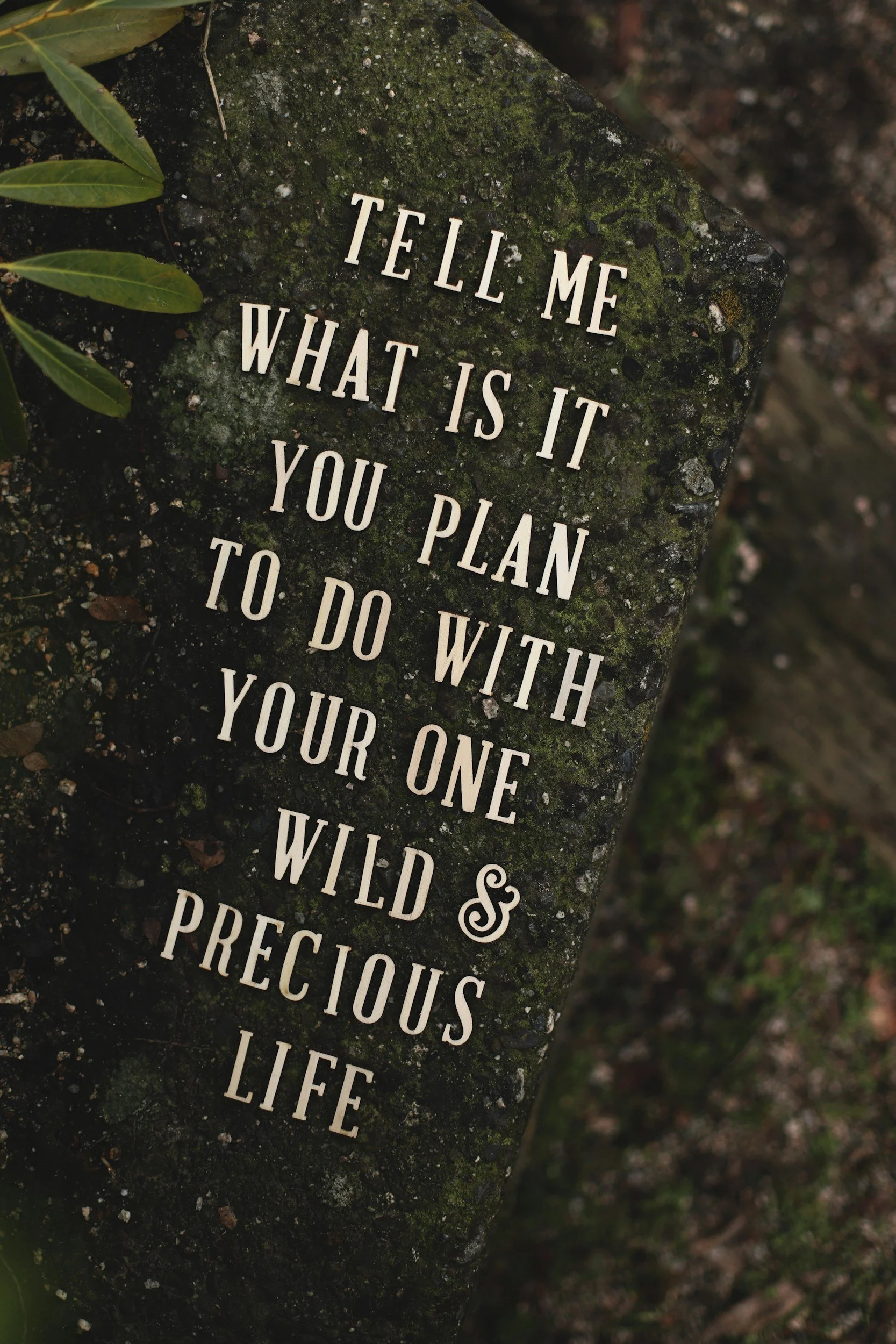 A moss-covered stone with white engraved text that reads: 'Tell me what is it you plan to do with your one wild and precious life' surrounded by soil and green leaves.