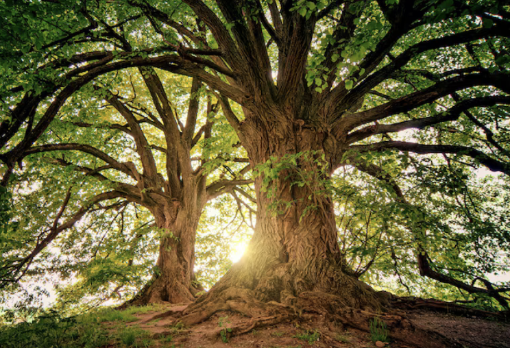 Getting Reacquainted with Mother Earth