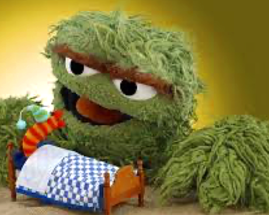 What I learned about Oscar the Grouch and his Pet Worm 