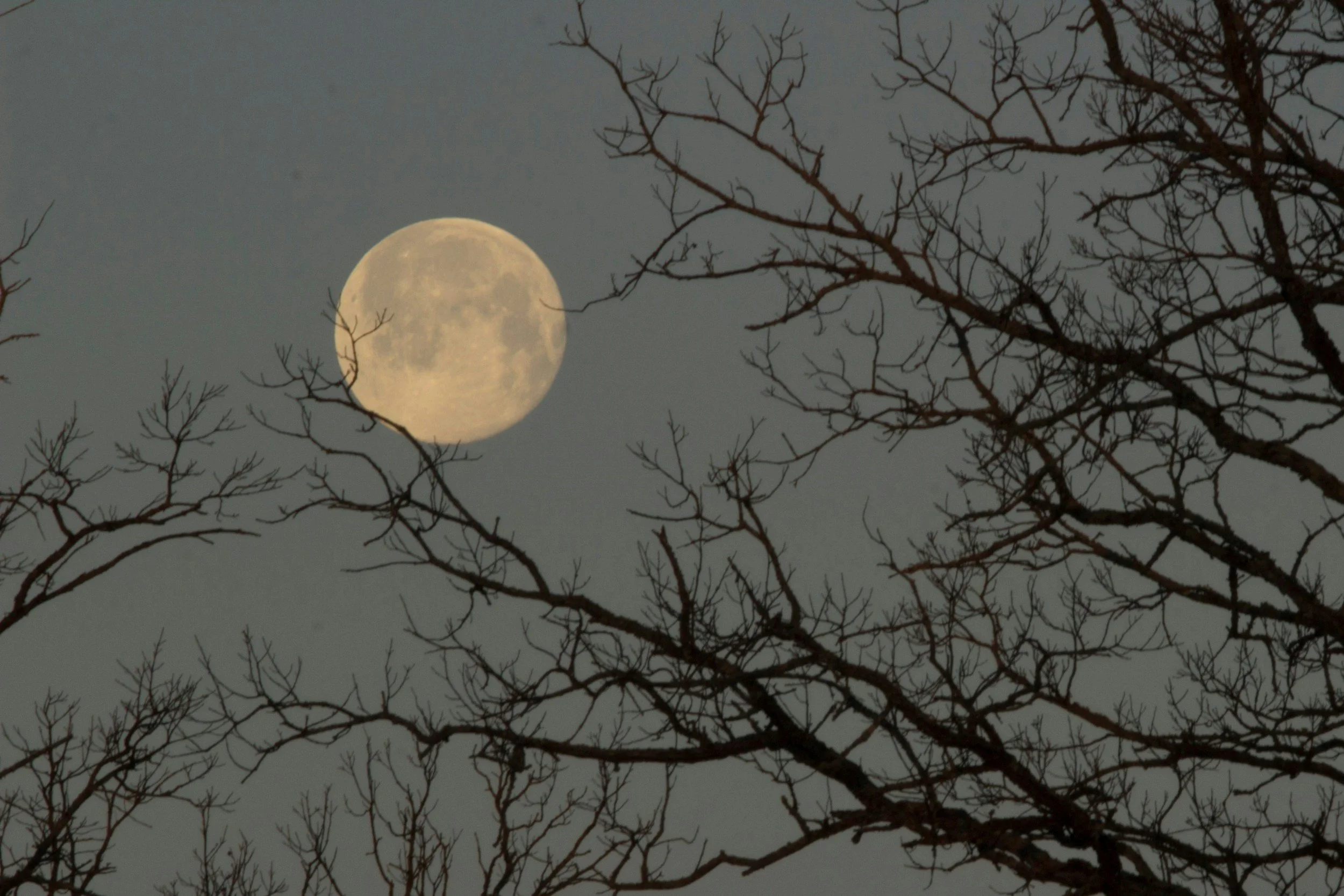 Moon Circle Gatherings