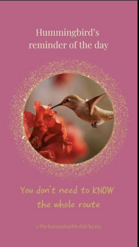 Hummingbird