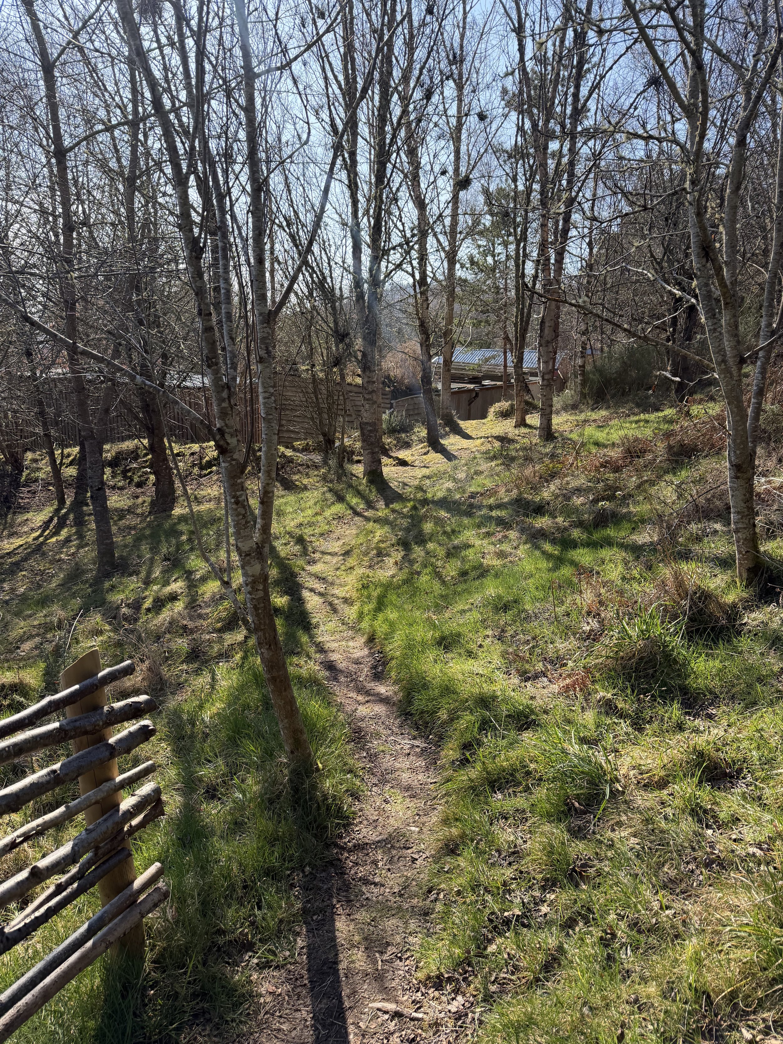 Scotland Odyssey, Part 3 — Shedding, Letting Go &amp; a Case on Its Own Journey