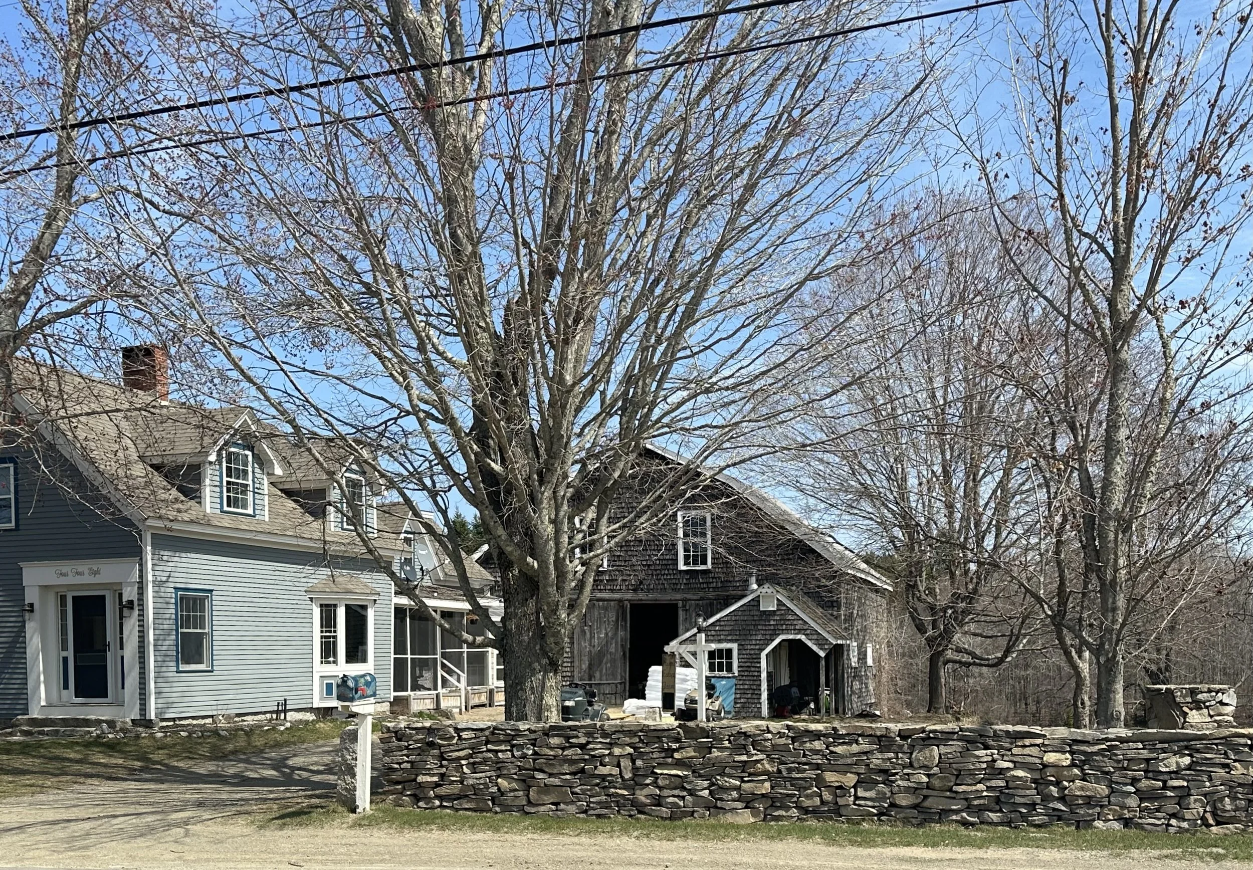A residential street featuring a large leafless tree in the foreground, with two houses in the background. The house on the left is painted light blue with white trim, and the house on the right is darker with a wooden exterior. A stone wall runs across the bottom of the image, and the sky above is clear and blue.