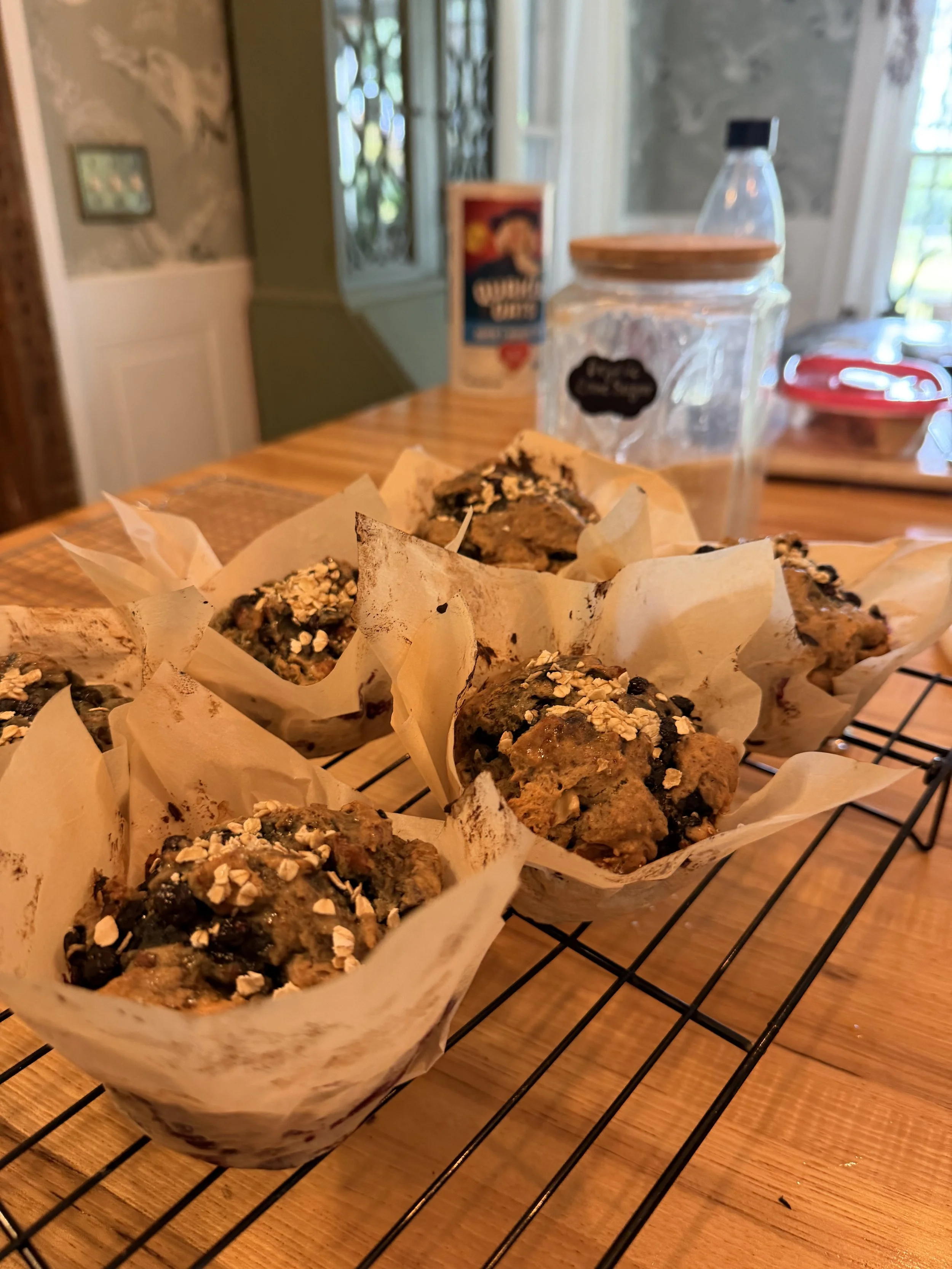 Blueberry muffin or scone