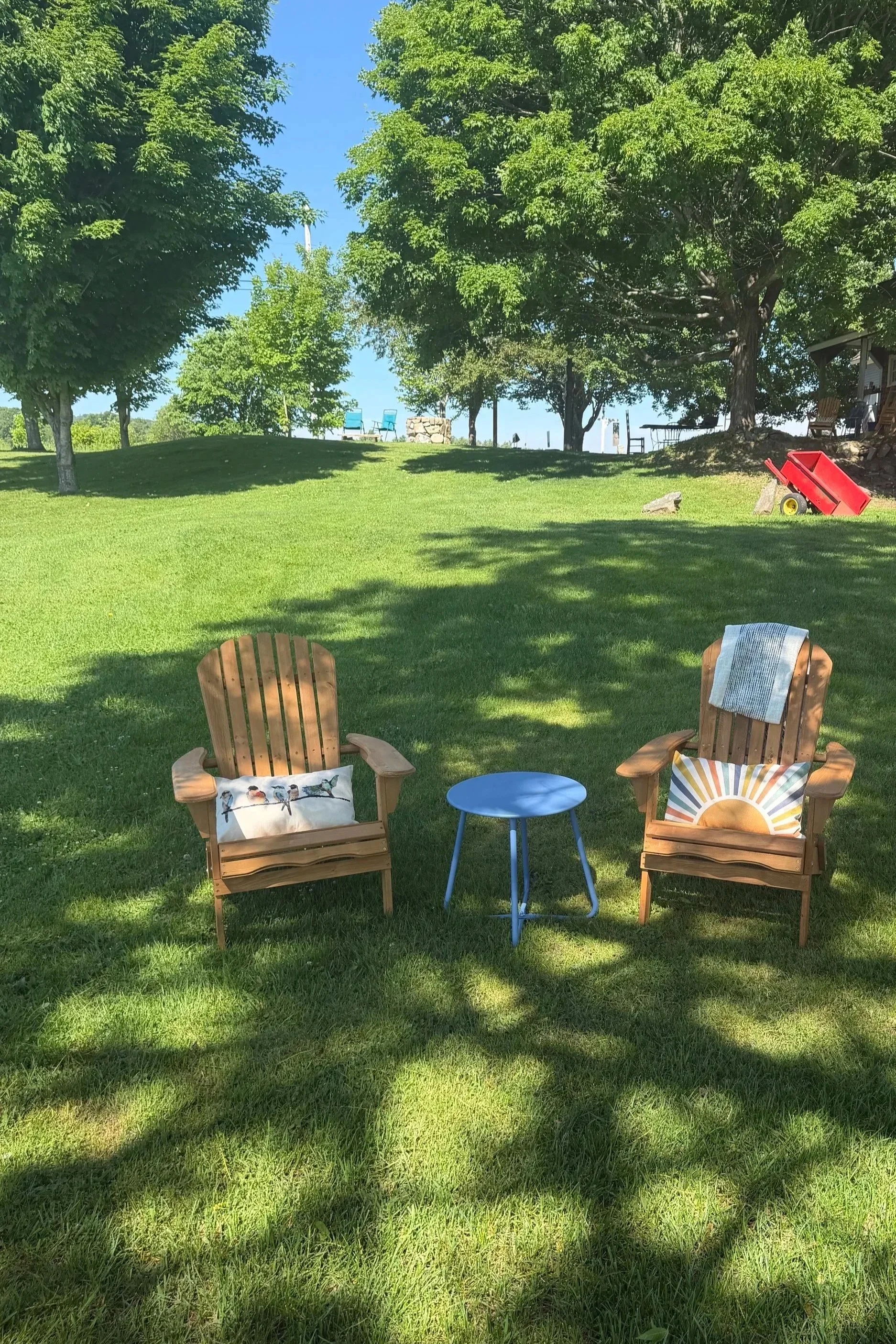 Adirondack chairs with pillows in the field under the walnut tree - garden in the background on a perfect blue sky day.