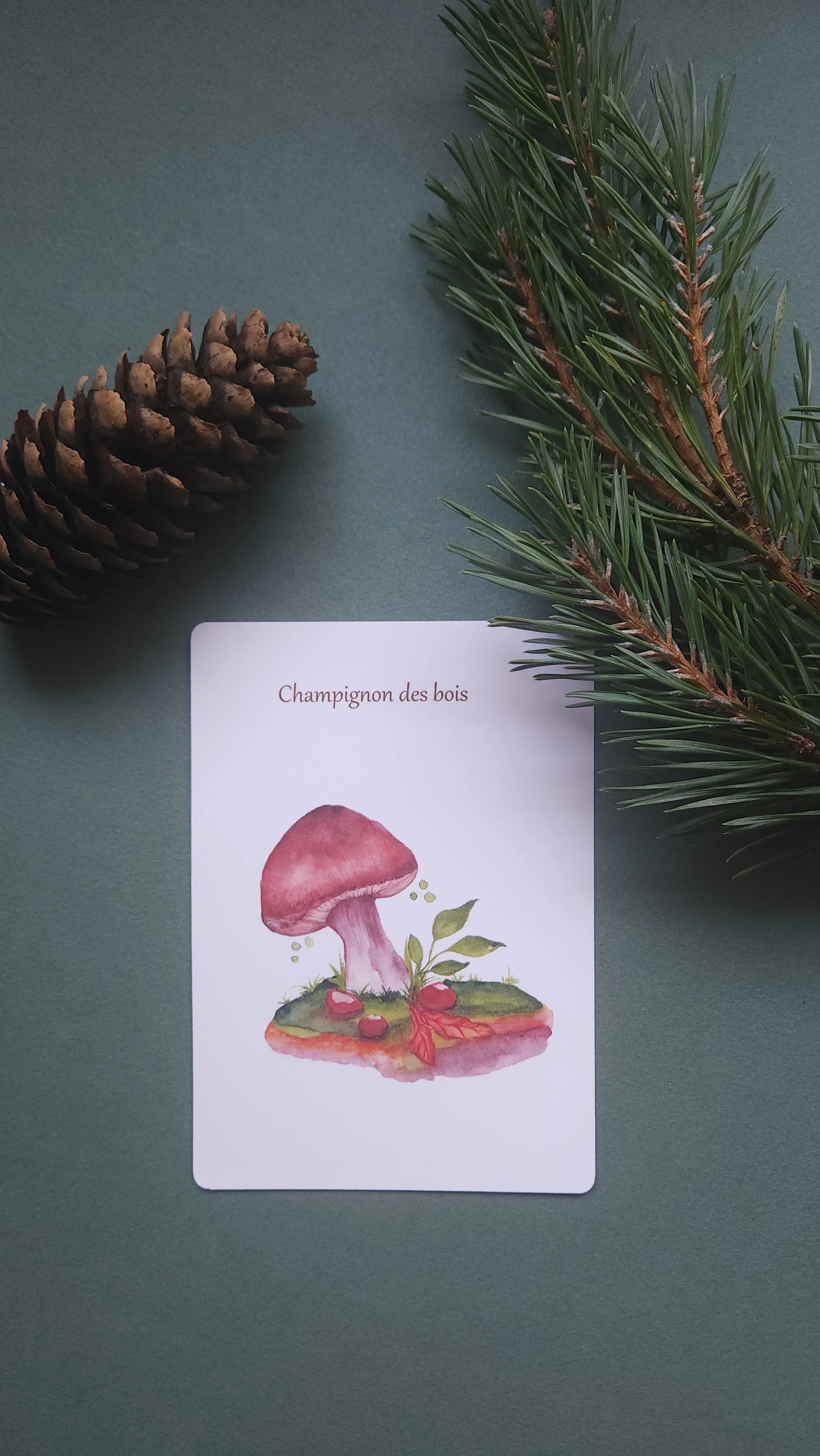 Carte Champignon des bois