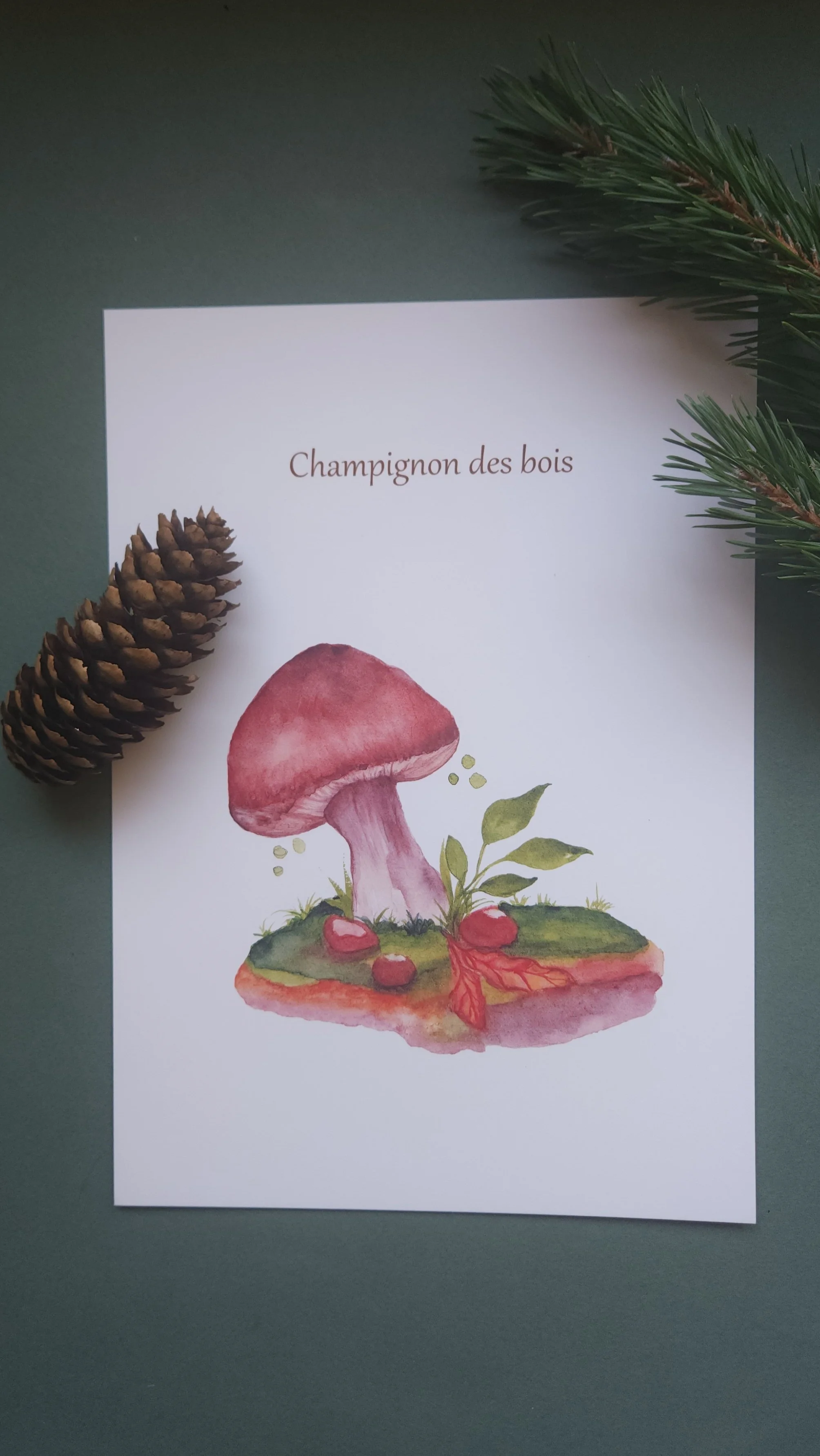 Affiche Champignon des bois