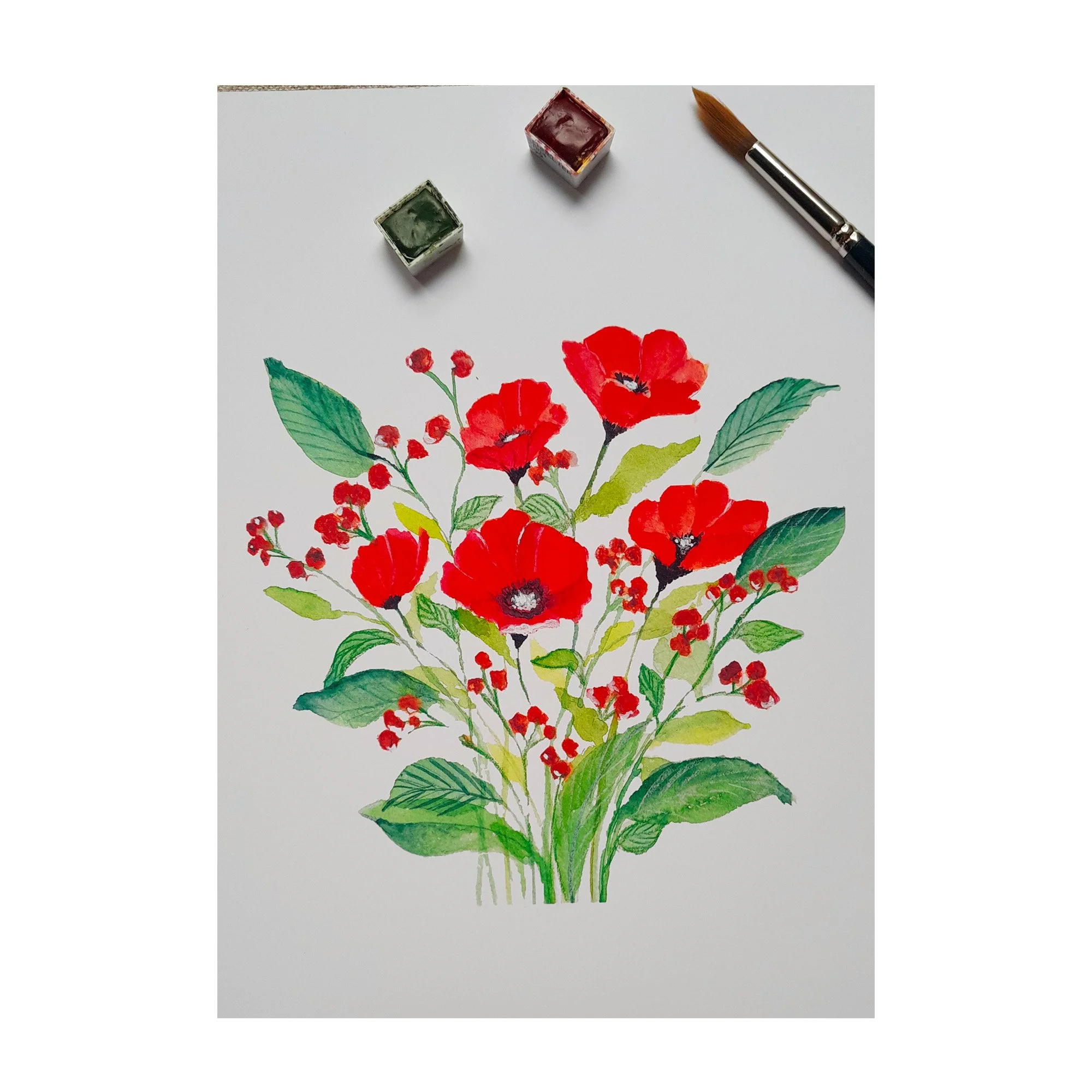 Tirage d'art coqulicots