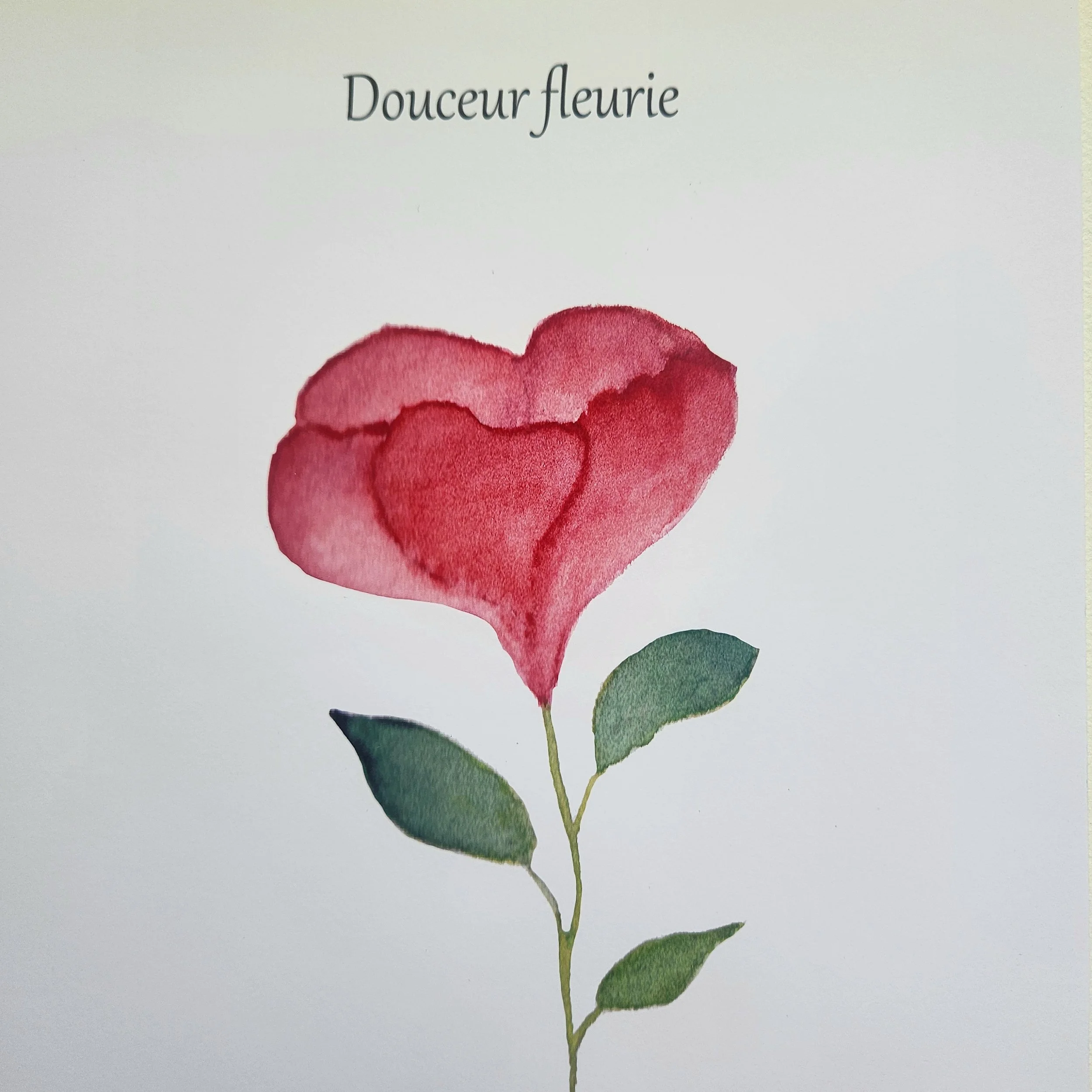 Douceur fleurie