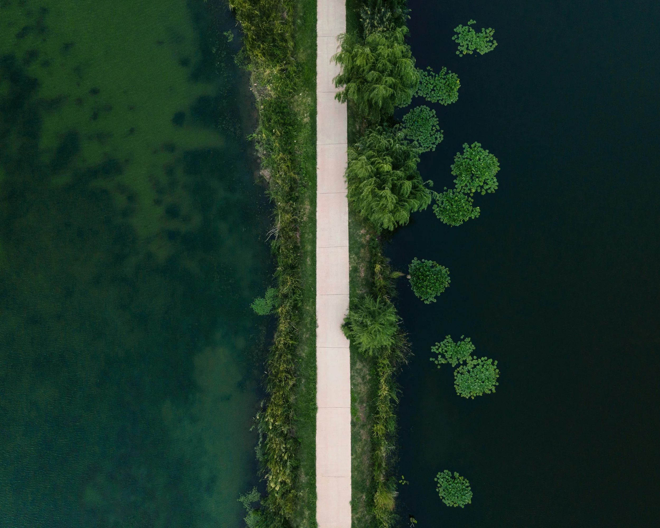 Vista aérea de un sendero de concreto en medio de un área verde con árboles y agua en ambos lados.