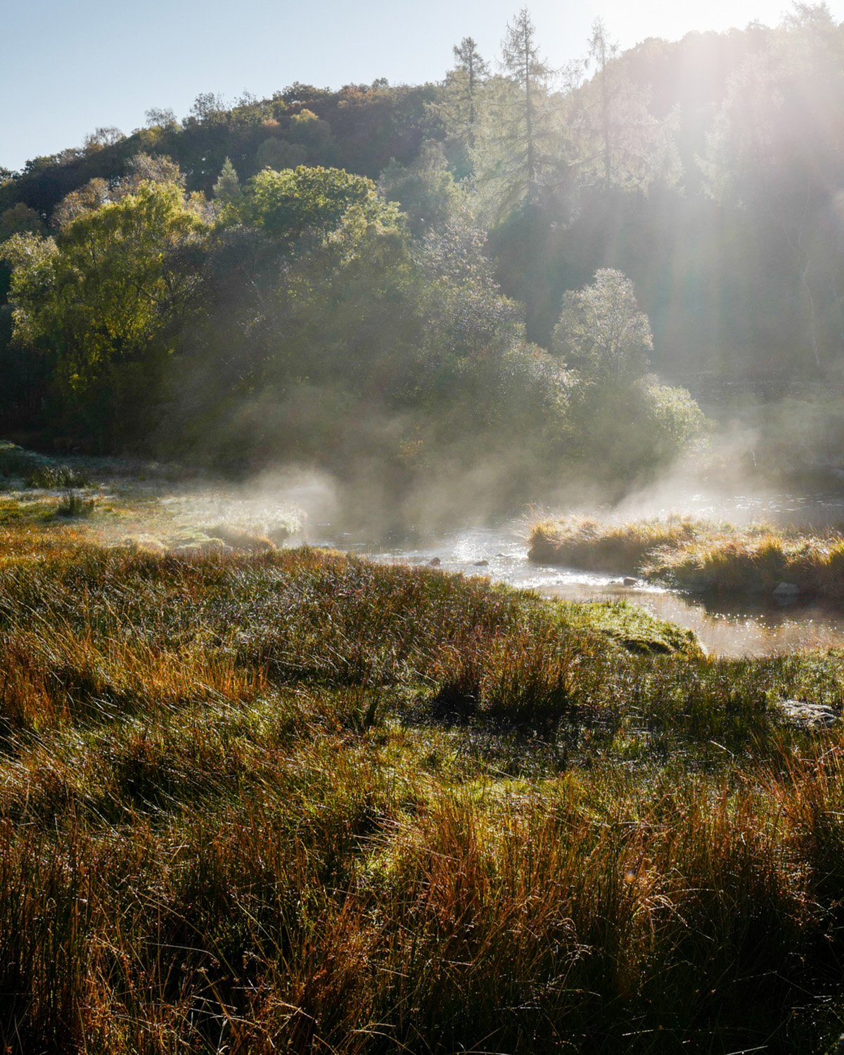 Sunshine shining over a misty river landscape with trees and grassy terrain.
