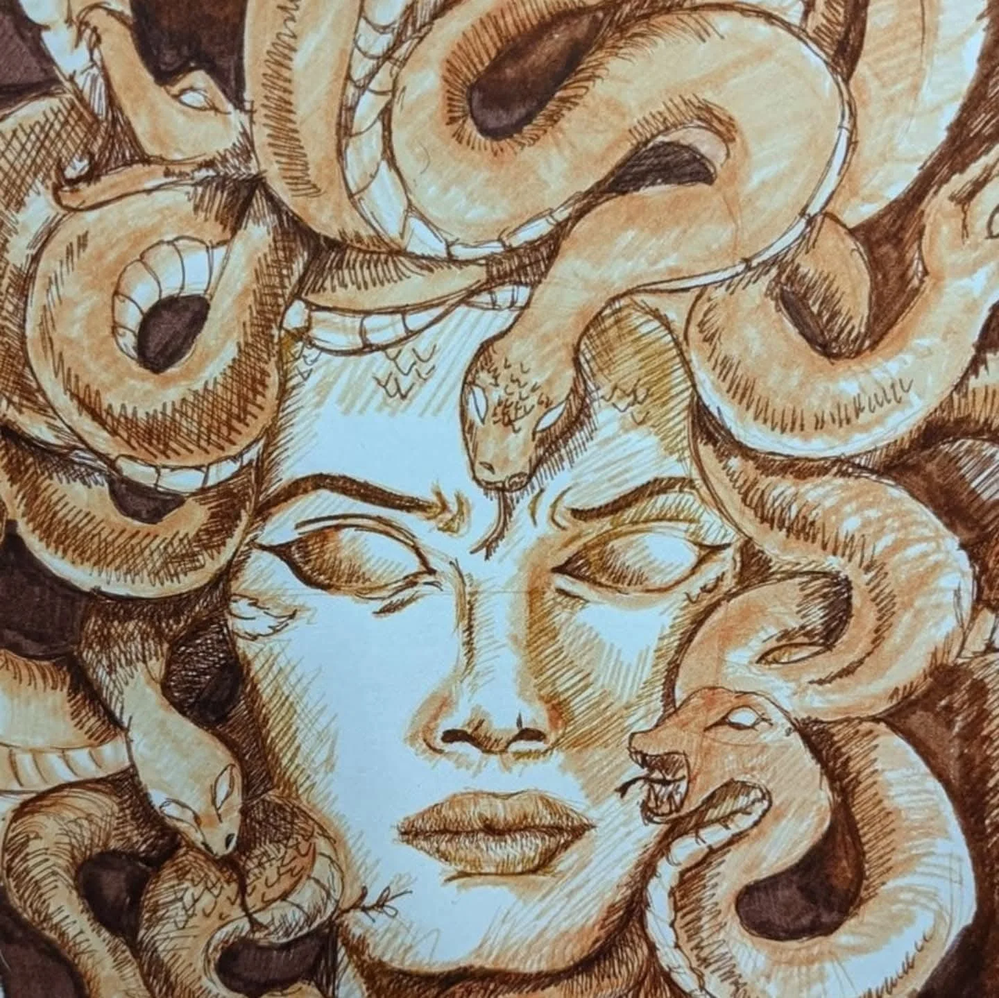 Drawing of a woman's face surrounded by multiple snakes intertwined around her head, with some snakes opening their mouths and showing fangs.