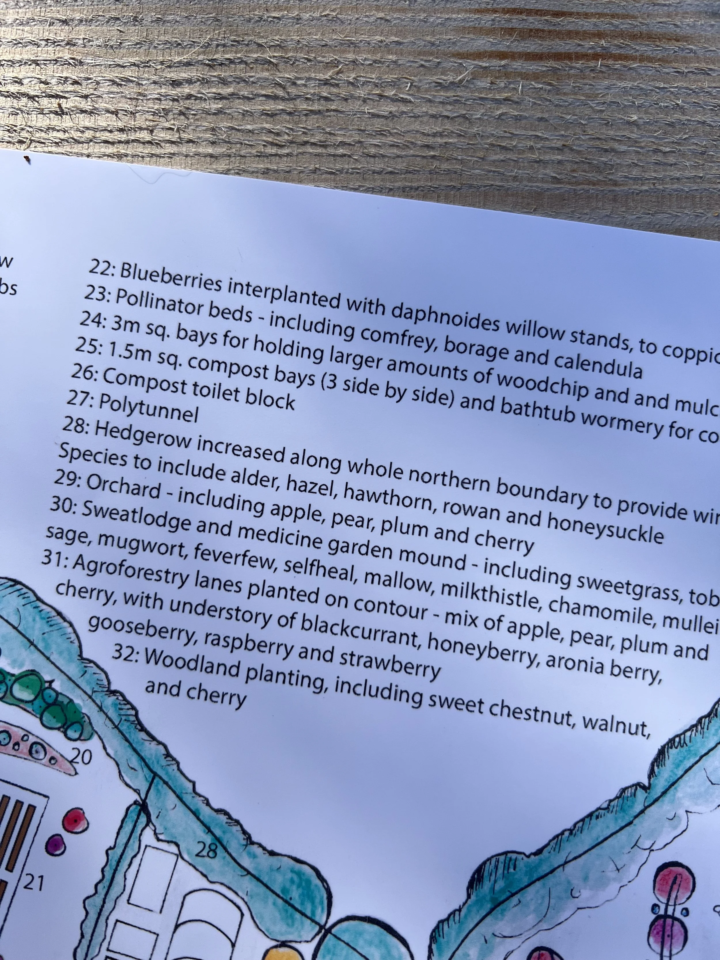 Close-up of a printed outdoor garden map listing features and plant species, with a colorful hand-drawn garden layout visible at the bottom