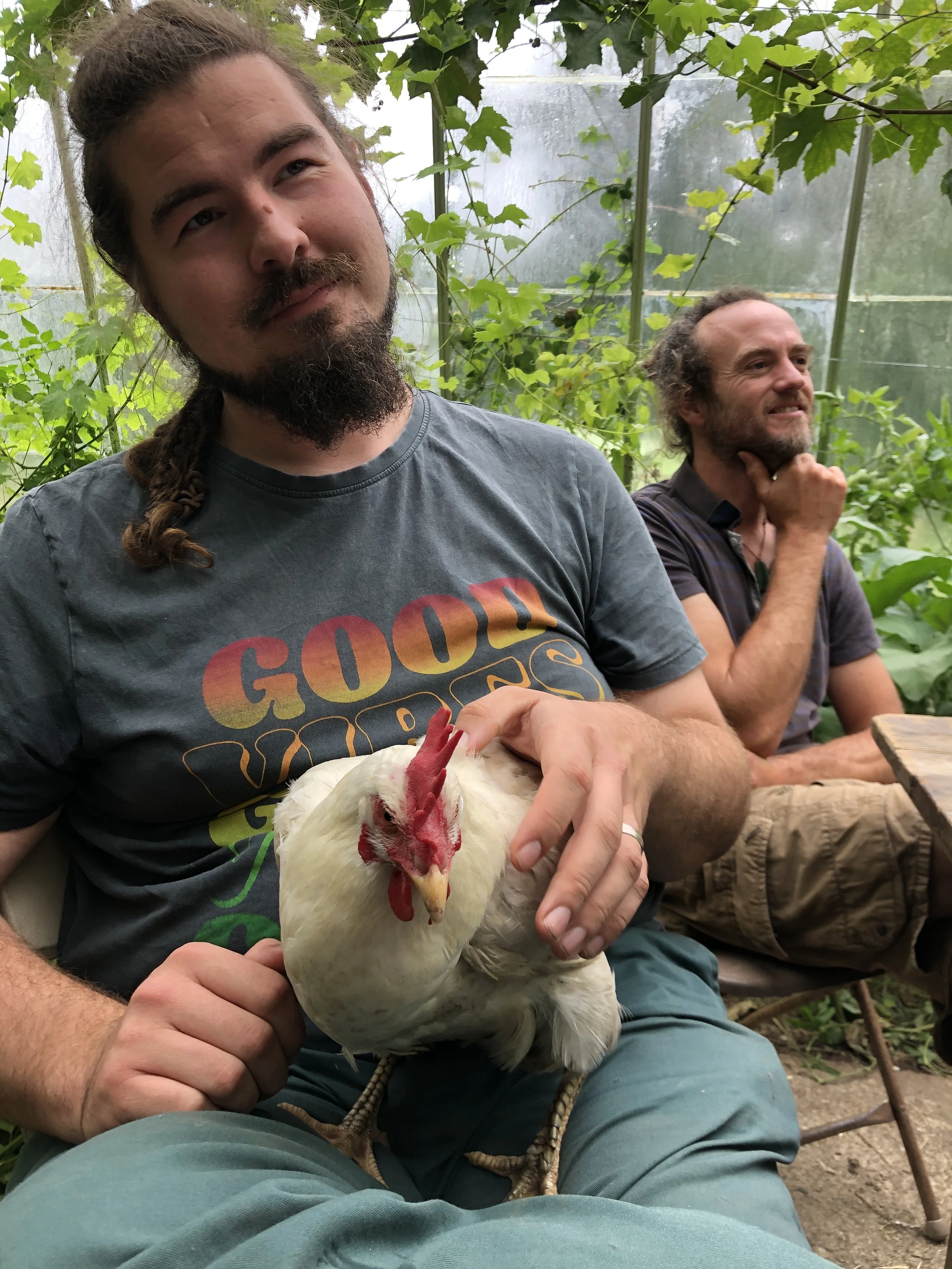 Two men sitting in a greenhouse with green plants in the background. The man in front holds a white chicken on his lap, wearing a gray t-shirt with colorful text. The man in the background has dark curly hair and beard, wearing a dark shirt, and is resting his chin on his hand.