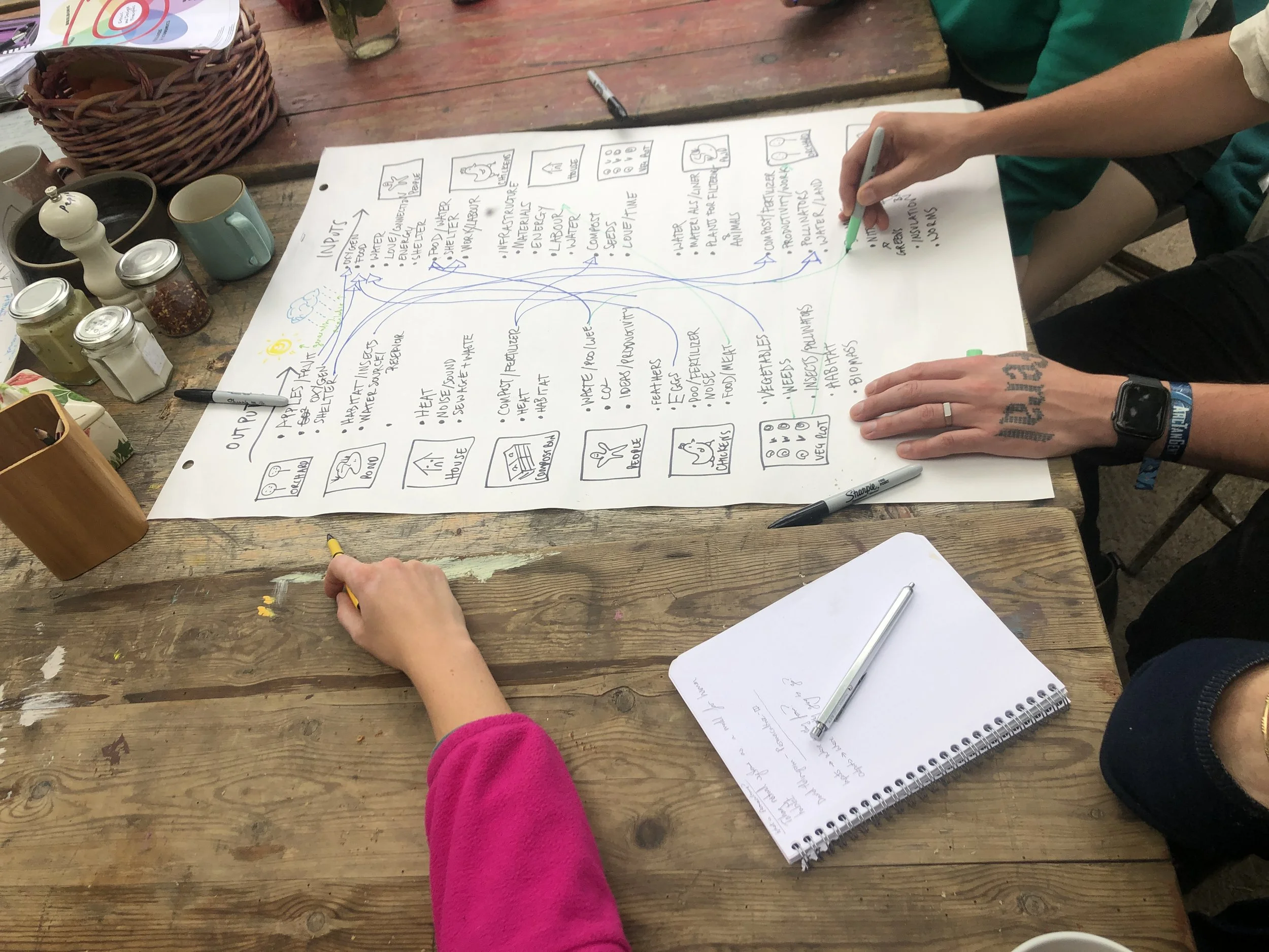 permaculture education