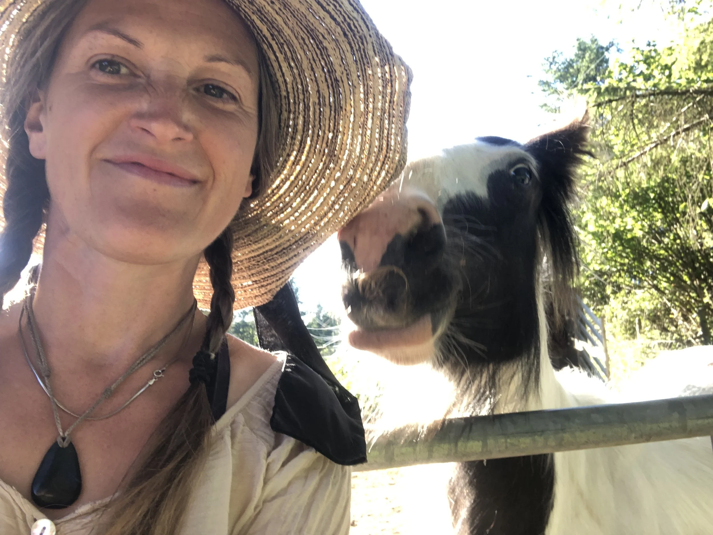 natural horsemanship