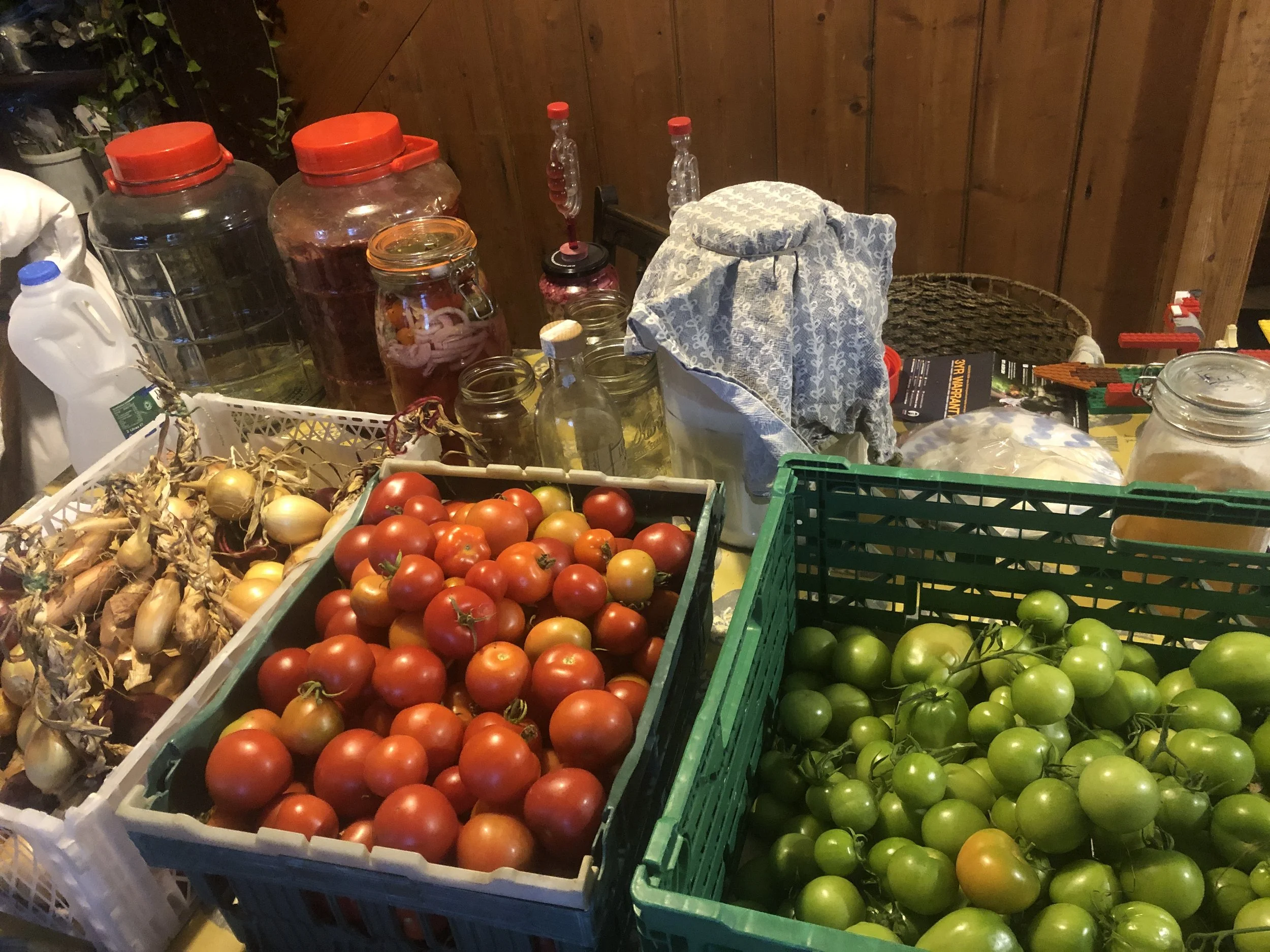 A table with various fresh vegetables including yellow onions, red tomatoes, and green tomatoes. There are jars, bottles, and containers with liquids, and a cloth-covered item stored on the table.