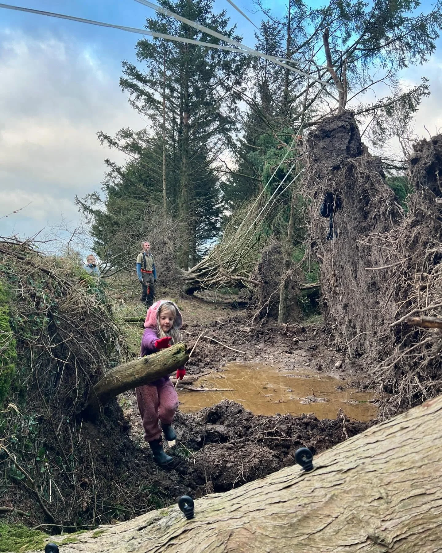 Started tackling the post-storm clean up this week..
It&rsquo;s so sad to see some of these trees laying to rest, most especially a few old favourites that I never thought would come down. But it&rsquo;s a mixed blessing, as we can now plant up a wid