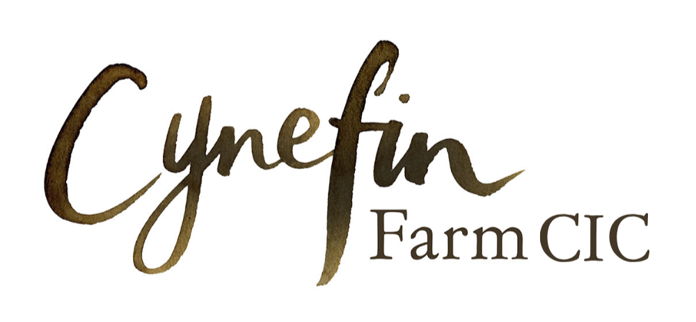 Logo for Cynefin Farm CIC with stylized cursive text and a brown color scheme.