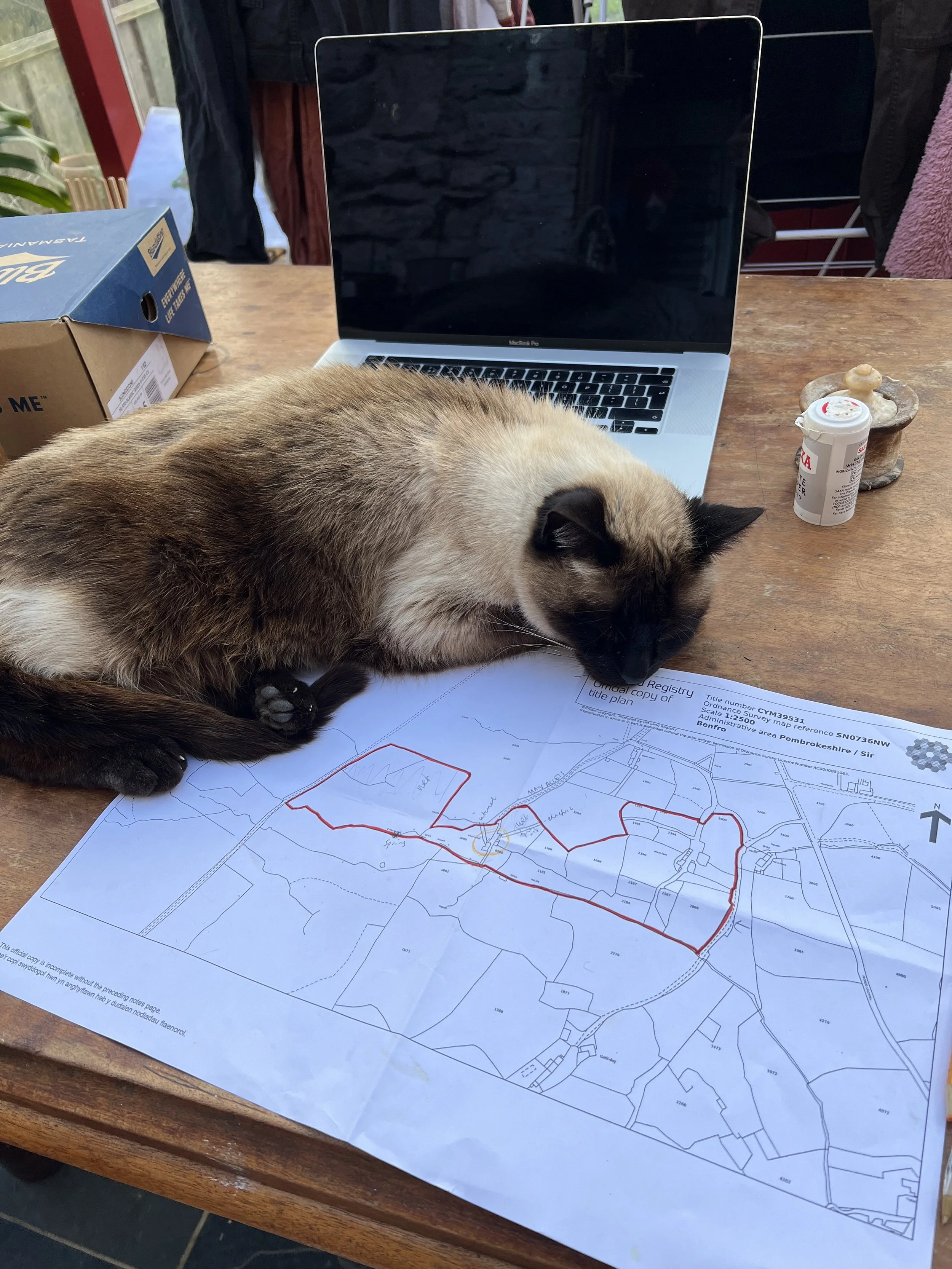 A cat sleeping on a map on a wooden table, with a laptop, a box, a pill bottle, and some rocks on the table.