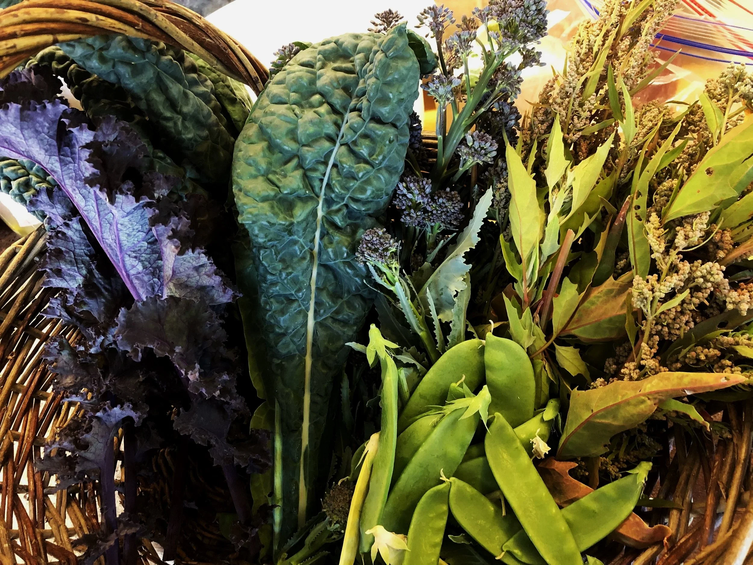 A basket filled with various fresh leafy vegetables and herbs, including kale, snap peas, and other greens.