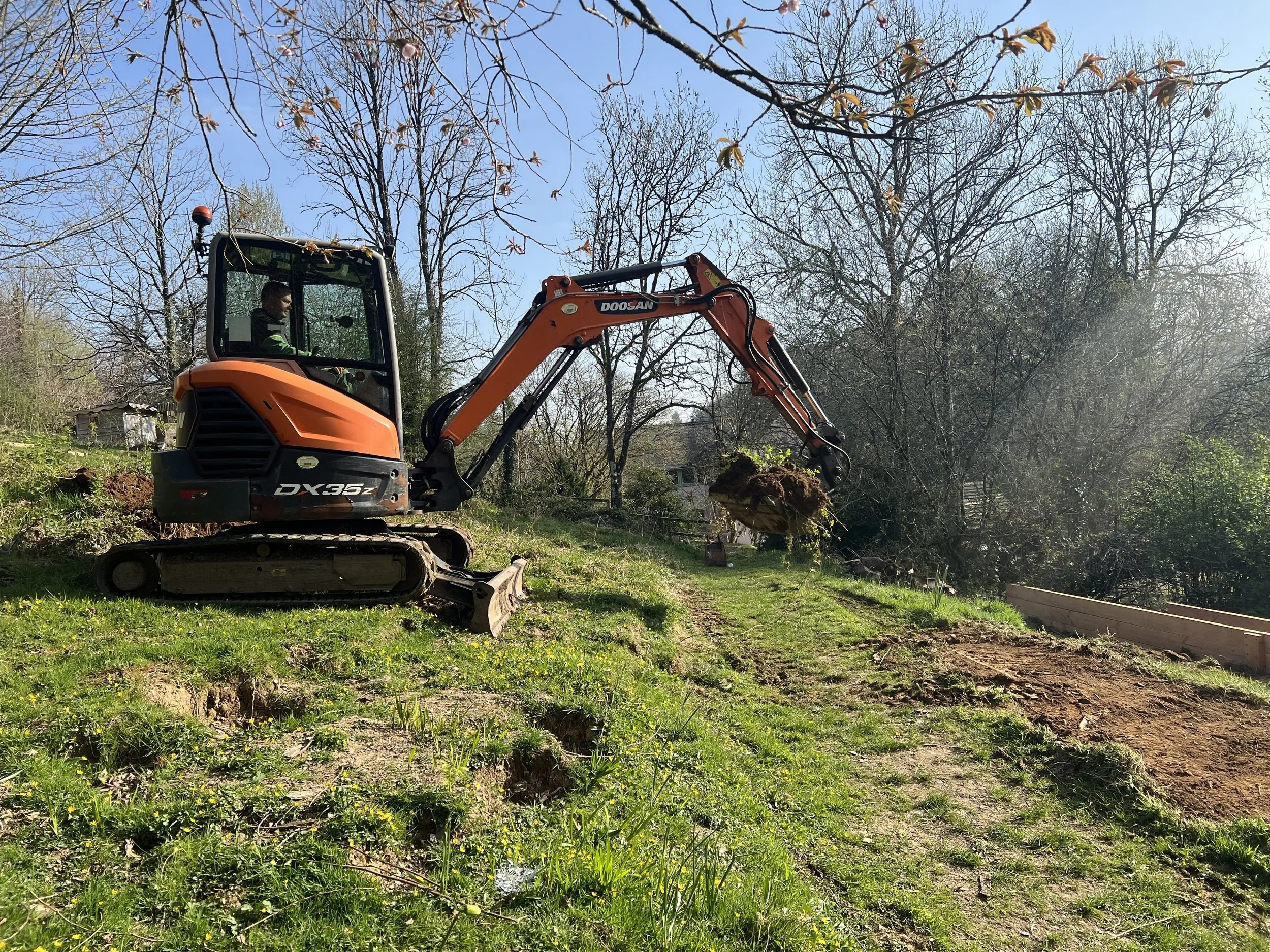 Small orange and black excavator digging in a grassy yard with trees and a house in the background.