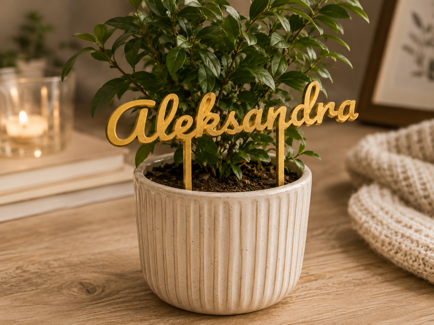 A potted green plant with a gold 'Aleksandra' name sign on it, placed on a wooden surface with a candle, books, and a framed artwork in the background.