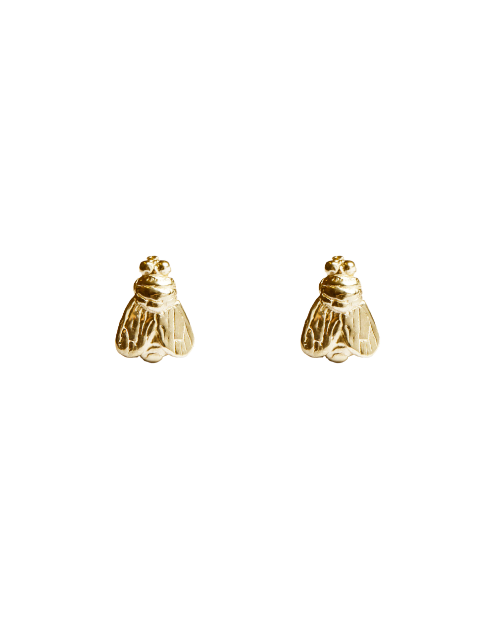 Mosca perno oro.png