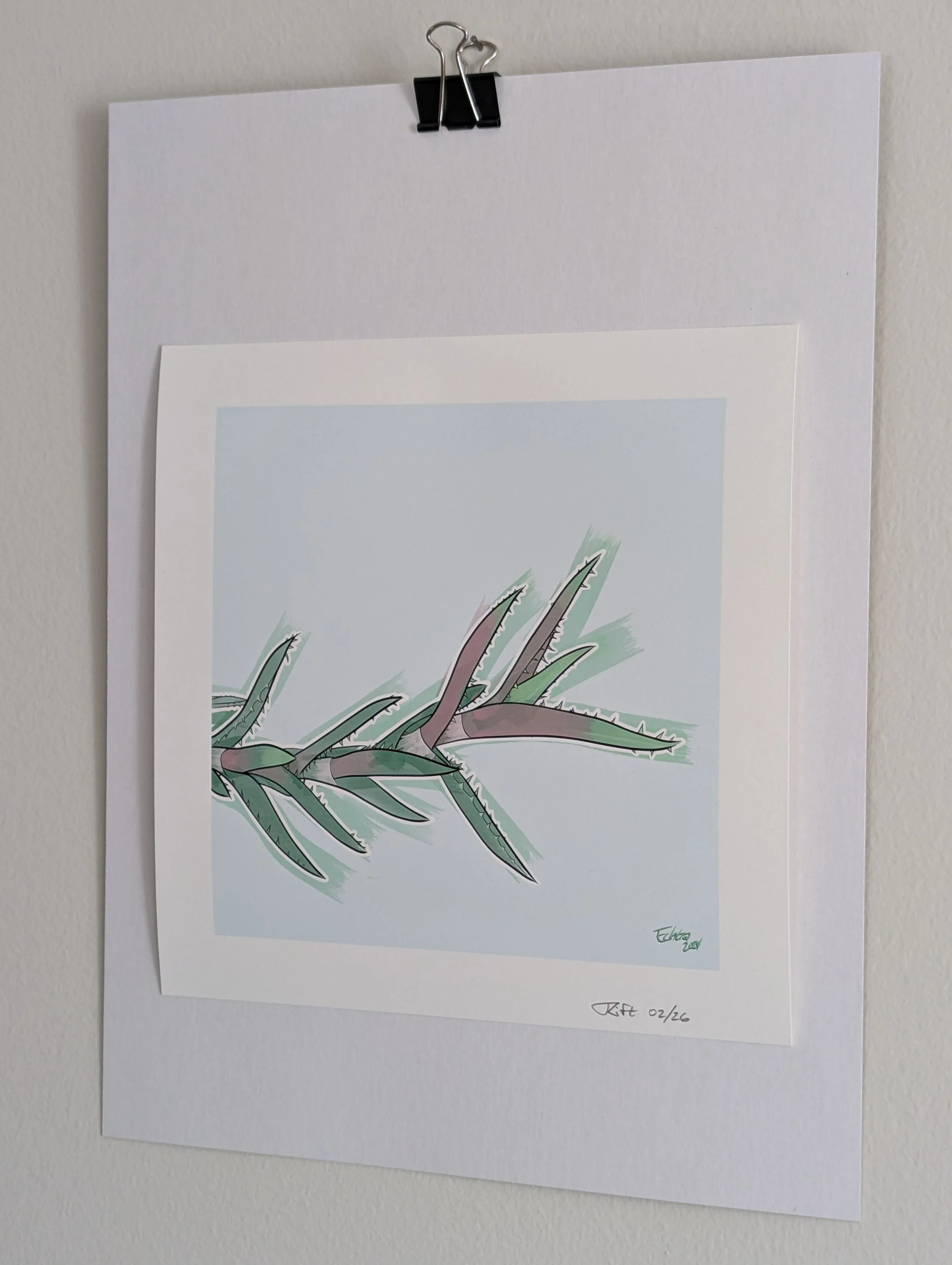 Tiger Tooth print2.jpg