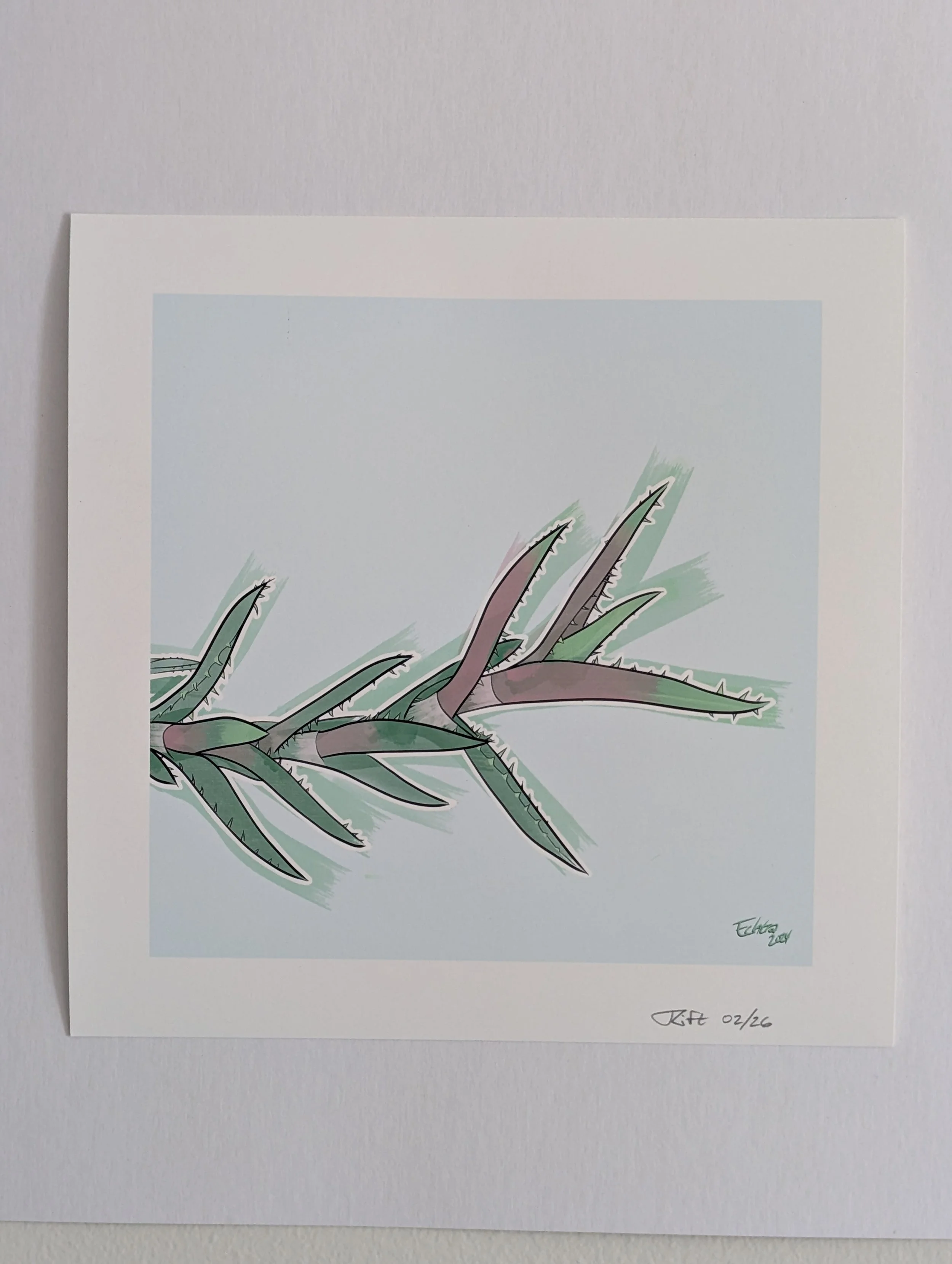 Tiger Tooth print1.jpg