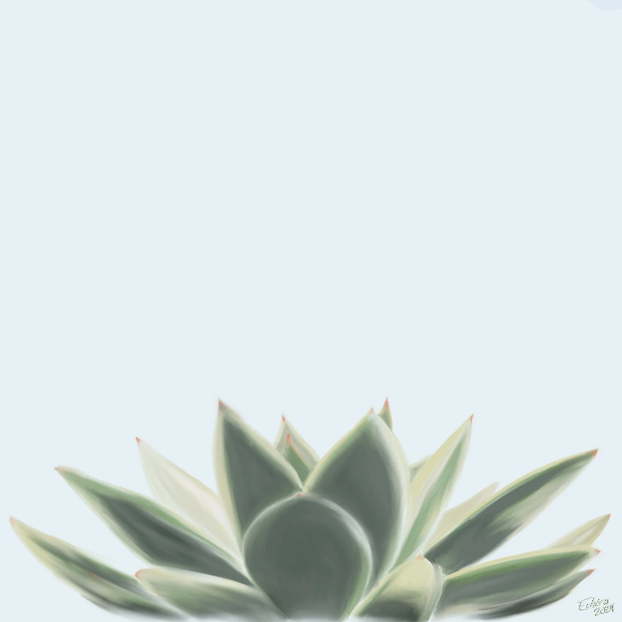 Close-up of a succulent plant with thick, pointed leaves against a light background.