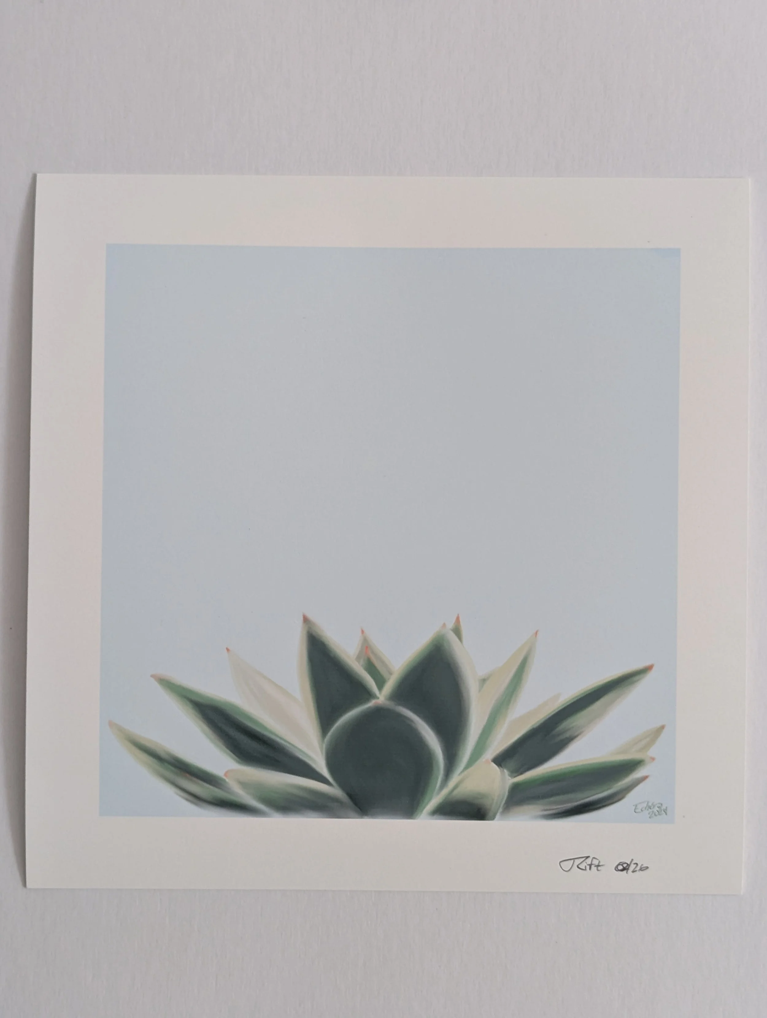Succulent print1.jpg