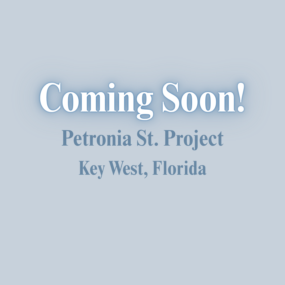 COMING SOON!  Petronia St. Project