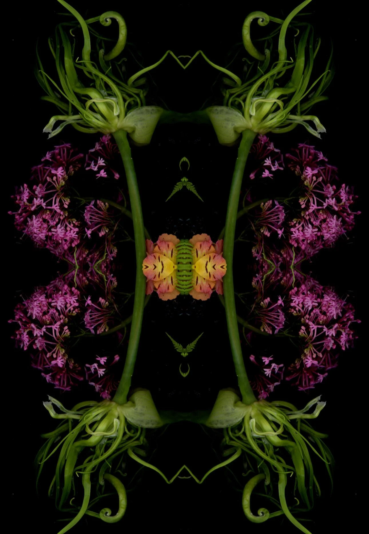 C614C4D7-5736-426E-9249-2E96AB97CD77.JPEG