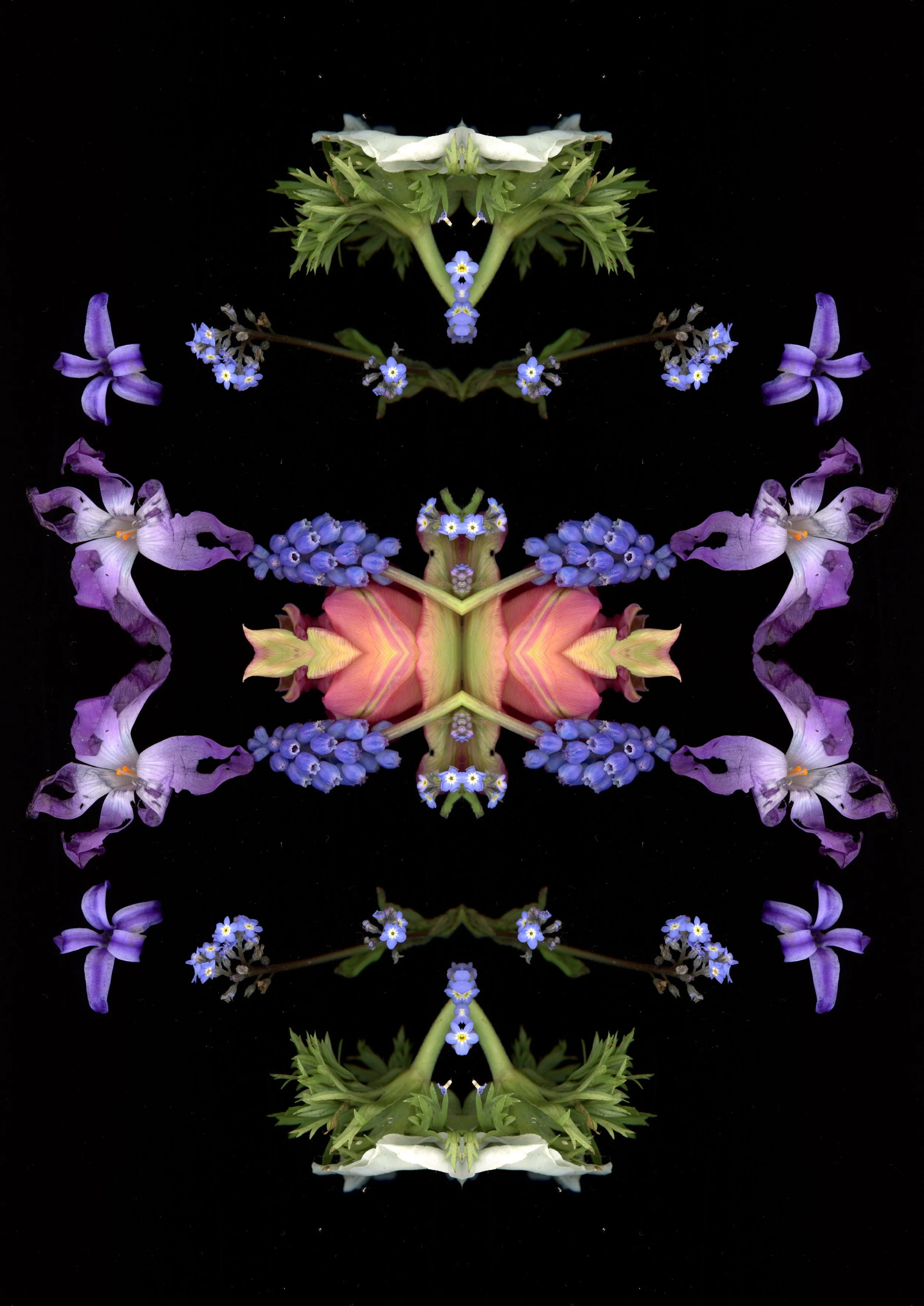 9085885A-59A0-40C0-9EAE-47A34F7E21C9.JPEG
