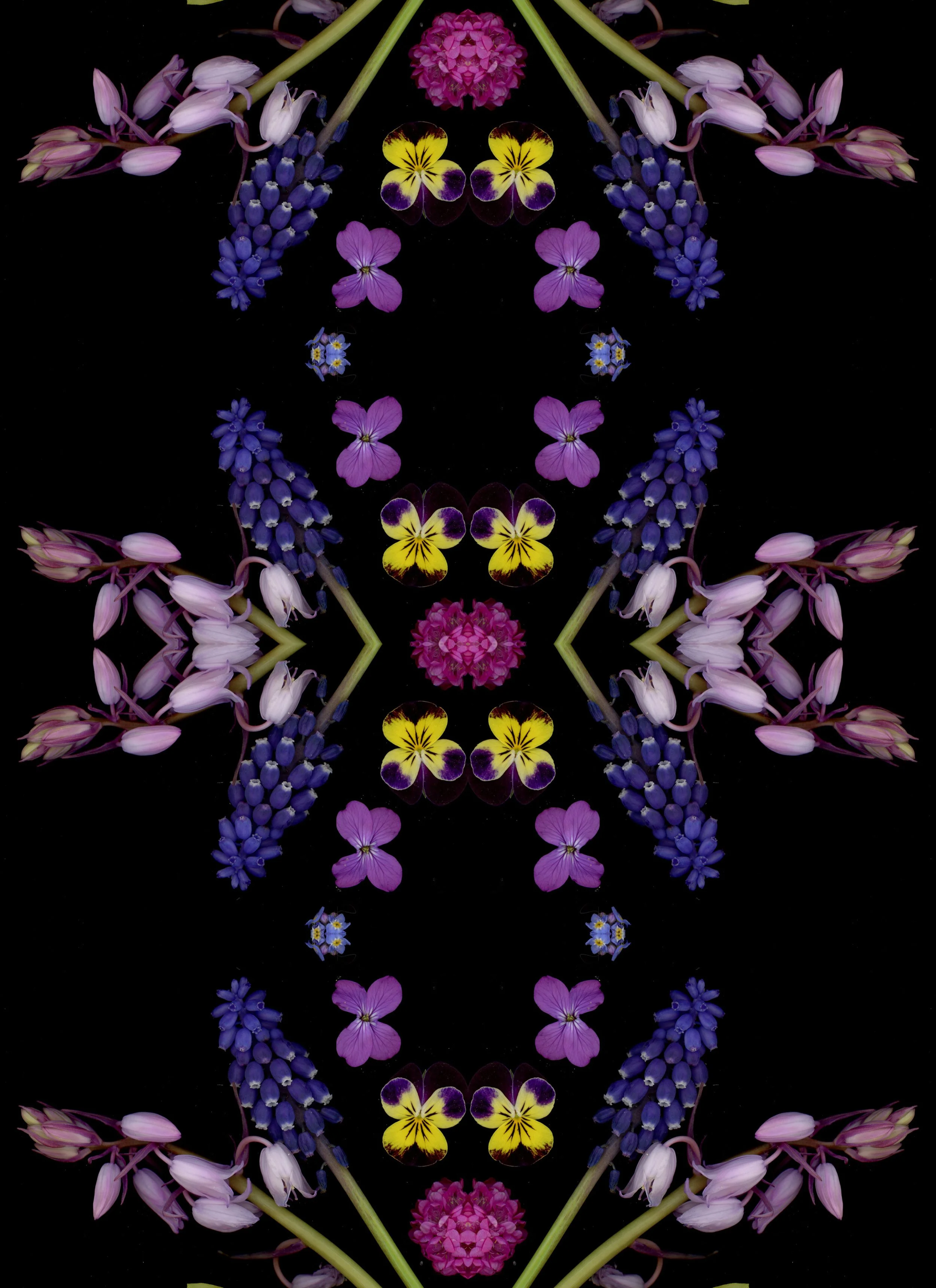 DEDE6AF3-02AB-4840-B633-9C527411E27A.jpeg
