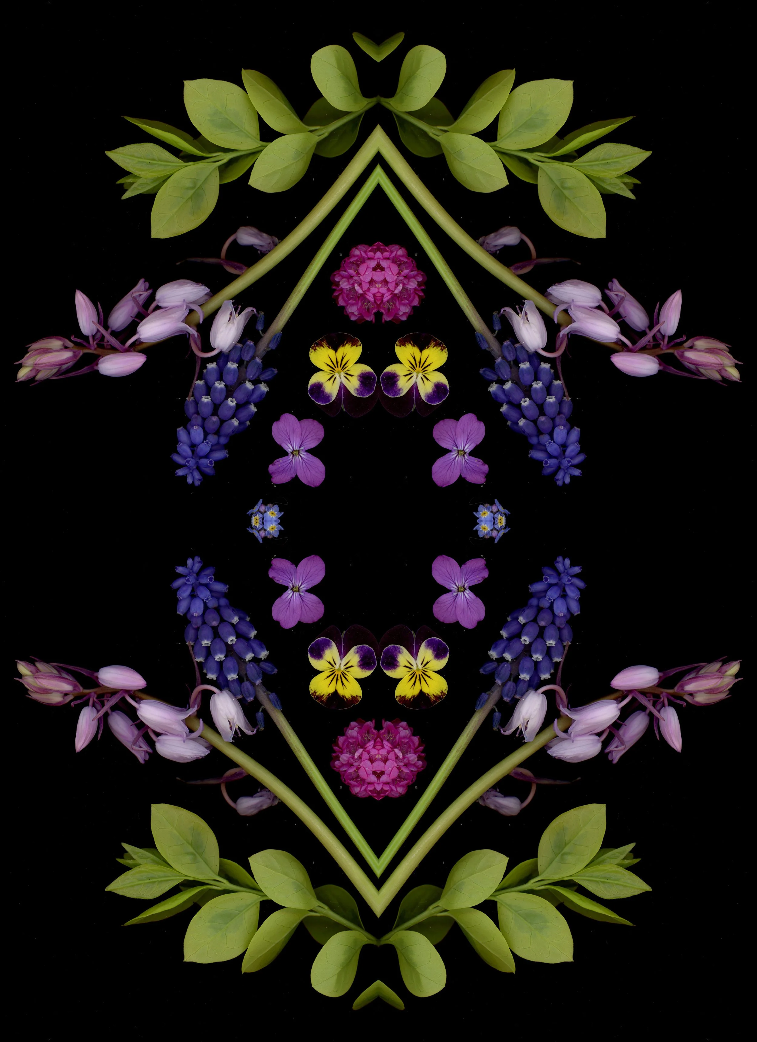 9EED965D-4342-44EE-B0C6-EC8939E708D5.jpeg