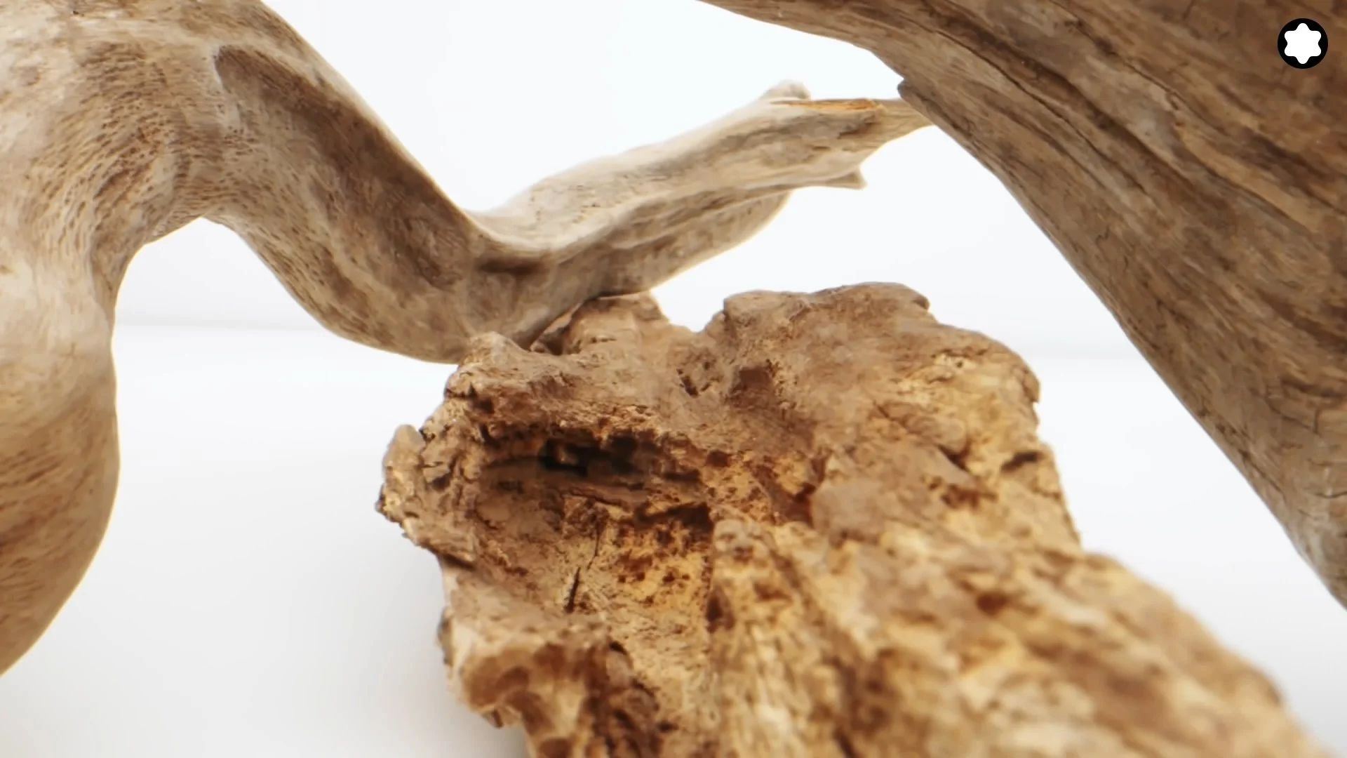 Packshot ingrédient