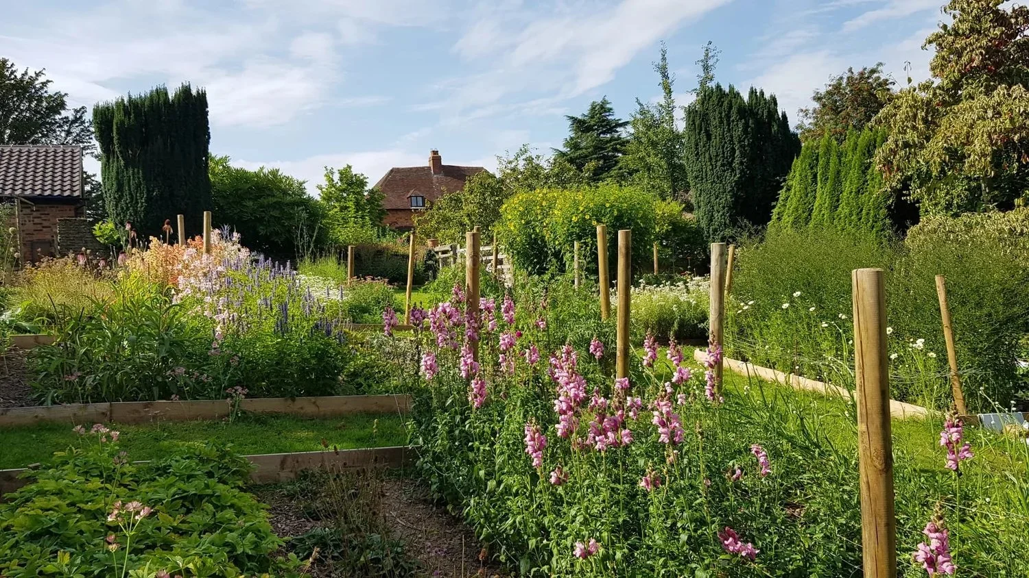 A lush garden with colorful flowering plants, green trees, and a clear blue sky.