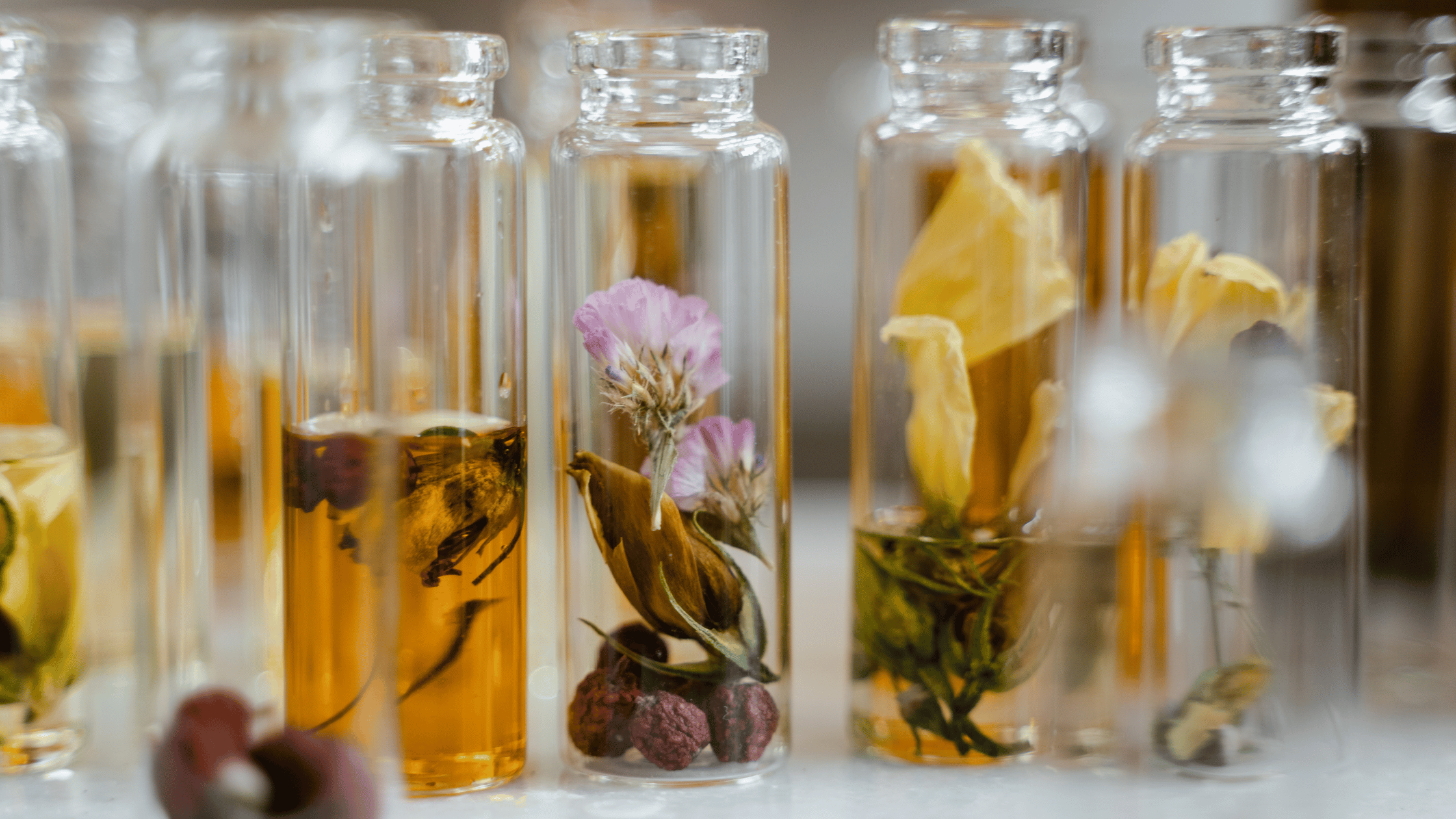 What Is Botanical Perfume? A Complete Guide to Plant-Based Fragrance