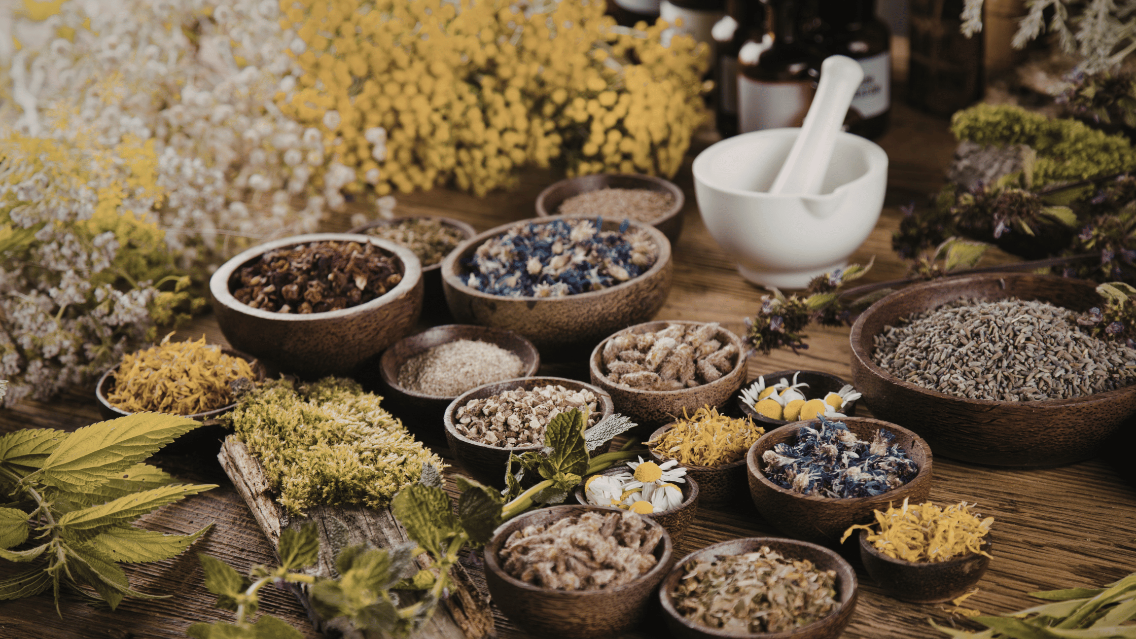 Why Ingredients Matter in Botanical Products