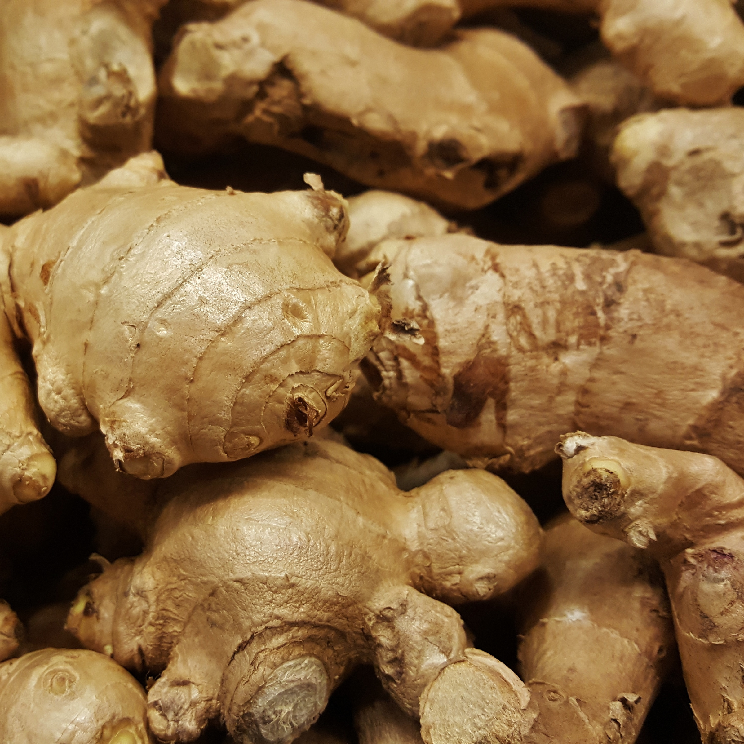 Close-up of several ginger root bulbs stacked together, showing their knobby, beige, and slightly rough skin.