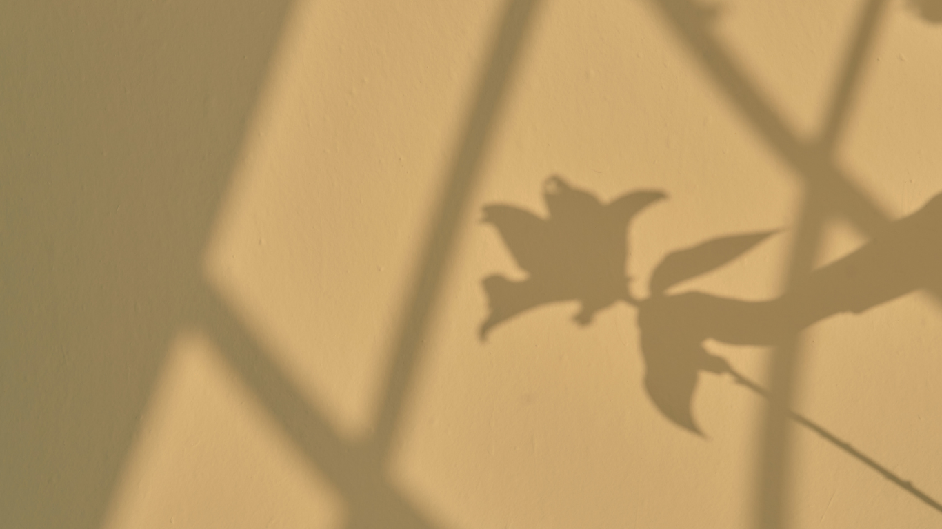 Shadows of a flower and a wire fence cast on a beige wall.