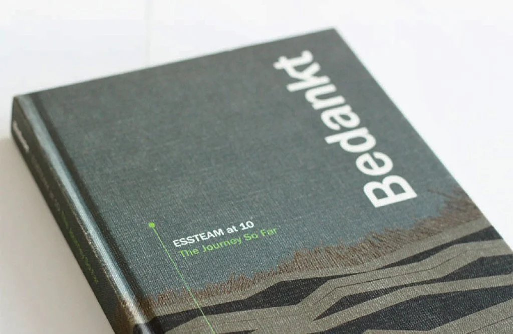 ESSTEAM@10 Book Cover