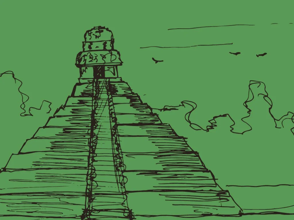 Sketch for Guatemalan Cardamom