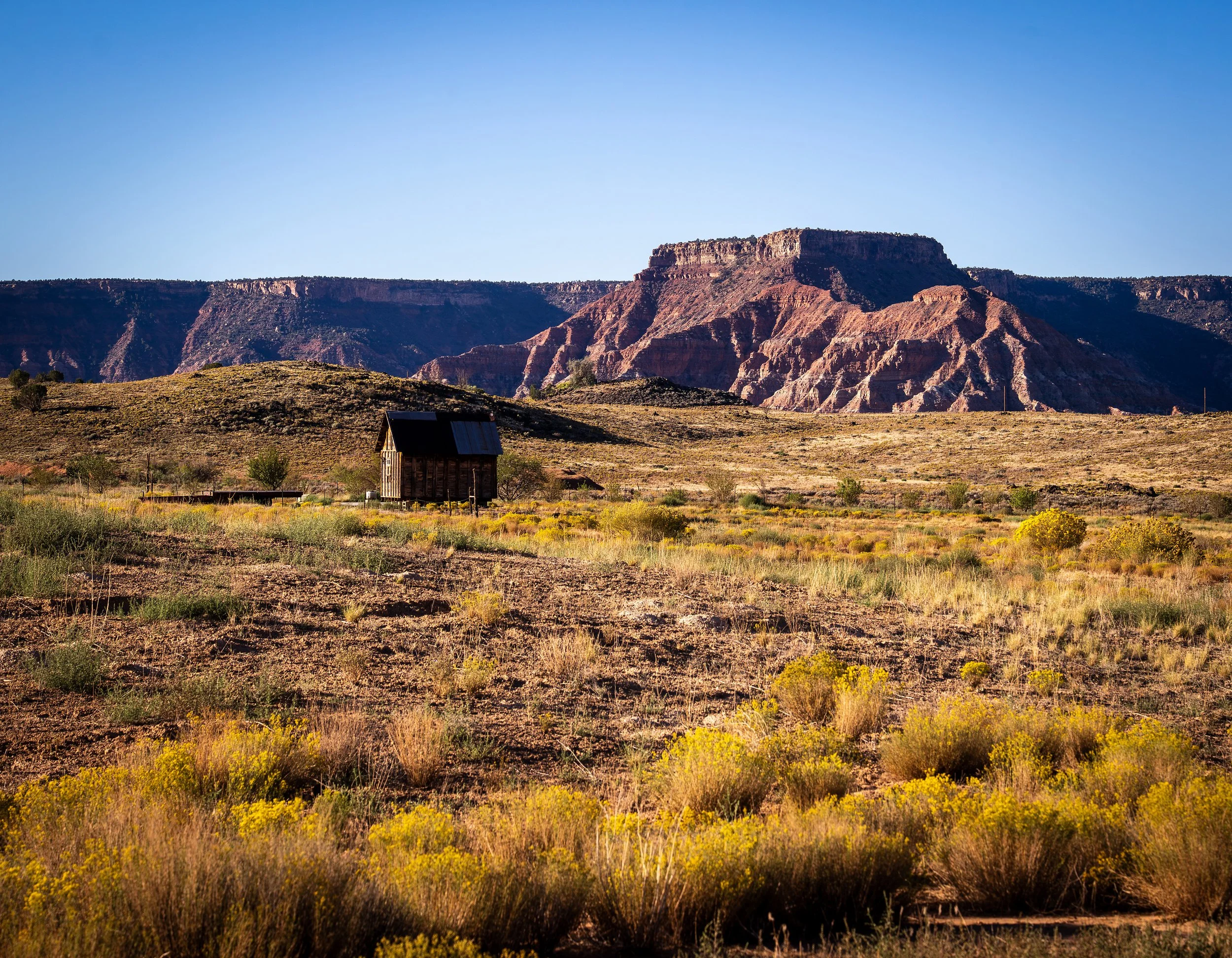 Wild Life & Landscapes