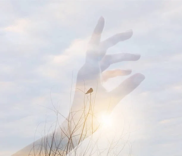 Introductory Nurse Life Coaching Package