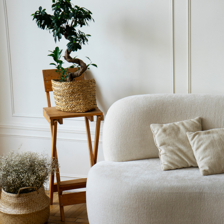 A cozy living room corner featuring a white textured sofa with beige pillows, a small wooden foldable stand with a potted plant, and a woven basket with white flowers on the floor, all against a white wall with decorative molding.